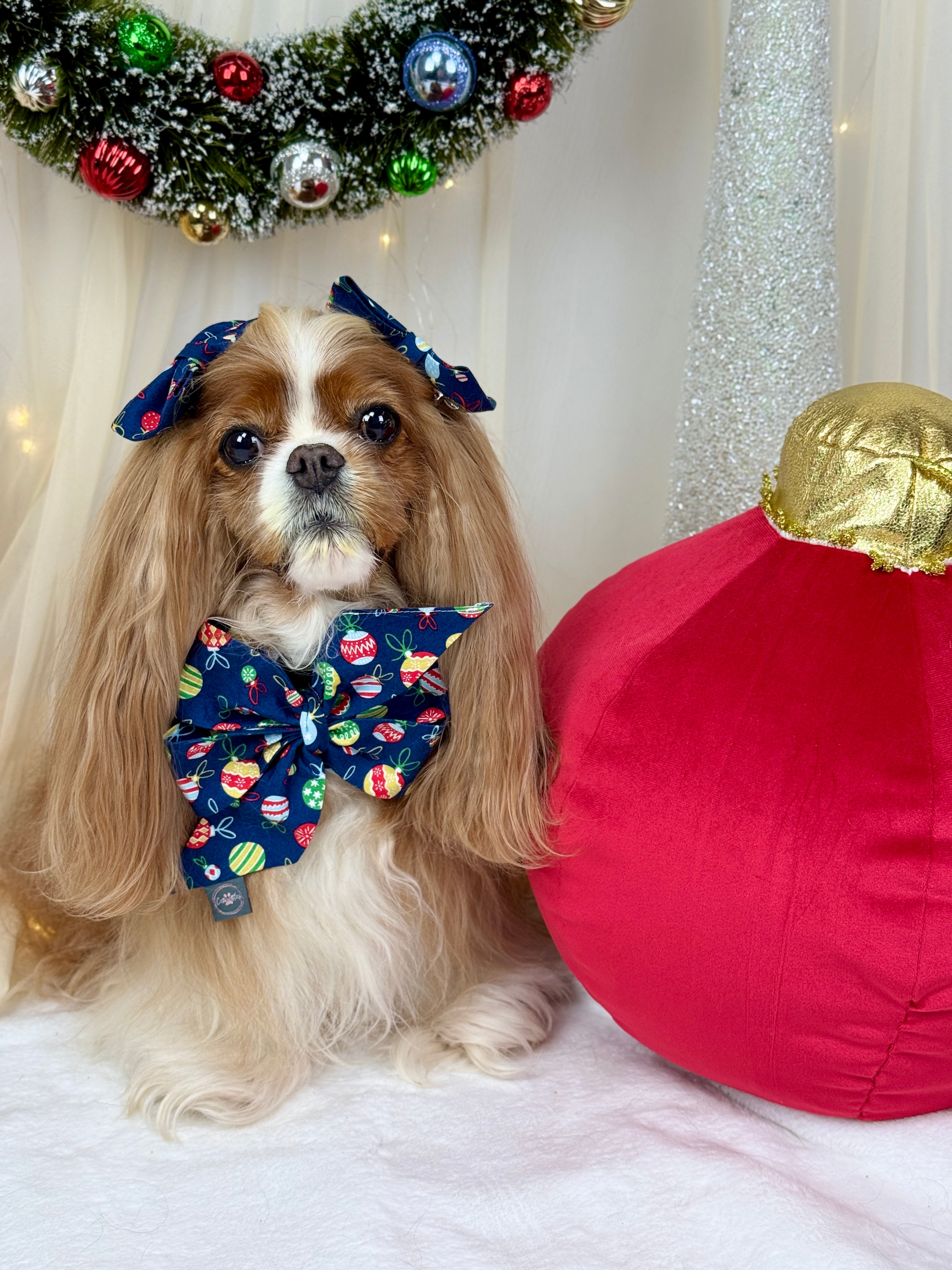 Strike a Pose Bow - Deck the Halls and Trim the Tree