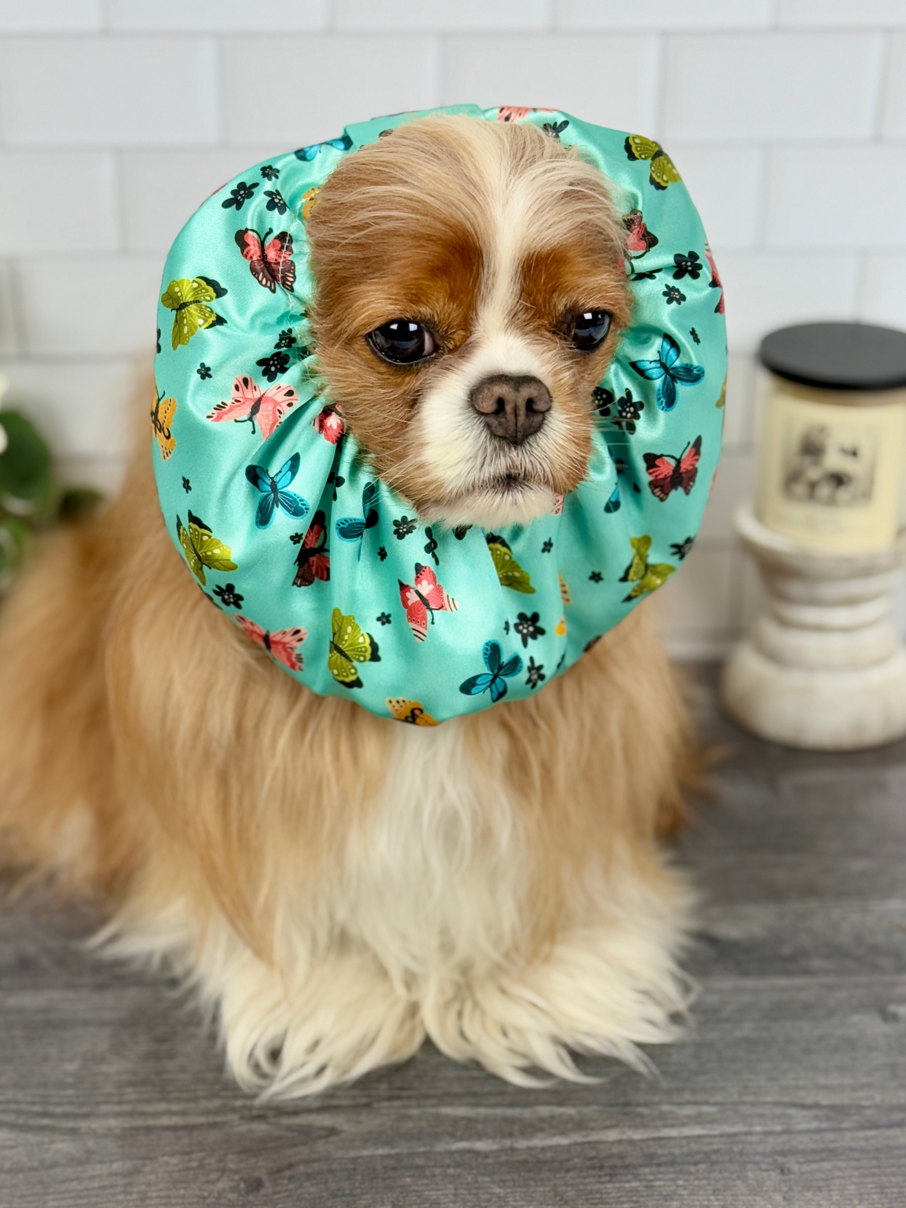 The Long-Ear Struggles are Real Snood - Butterfly Breeze