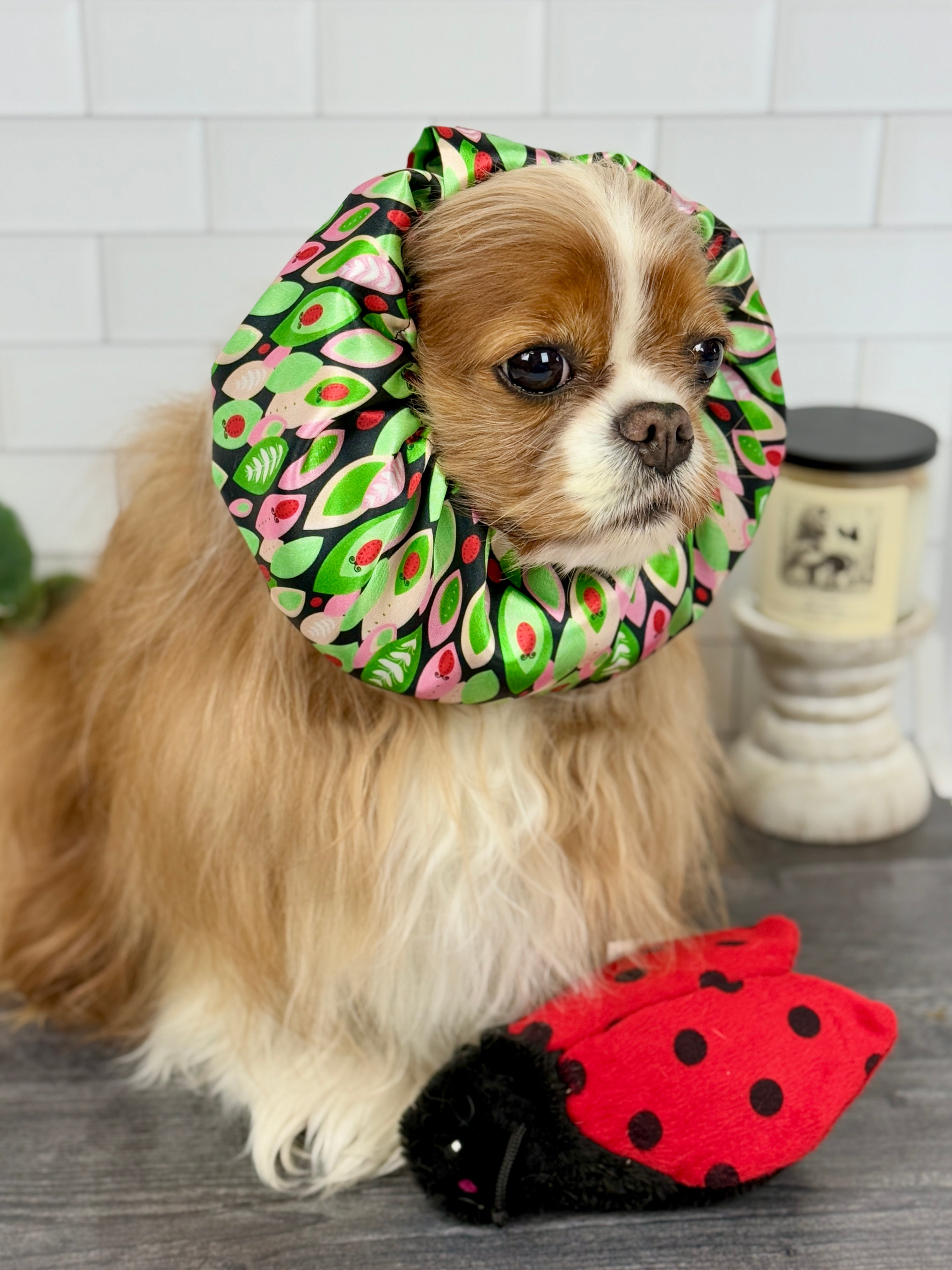 The Long-Ear Struggles are Real Snood - Ladybug Lane