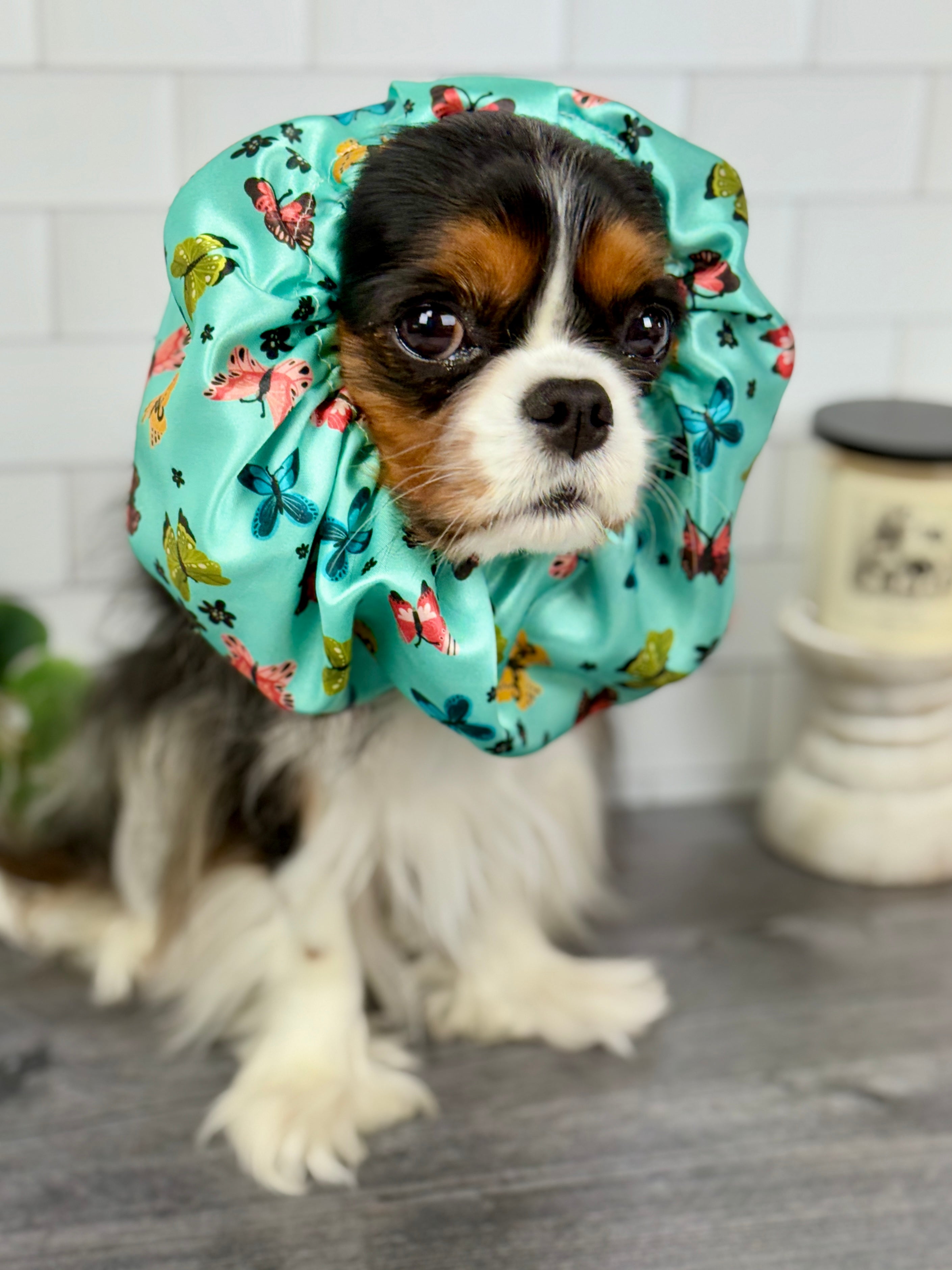 The Long-Ear Struggles are Real Snood - Butterfly Breeze