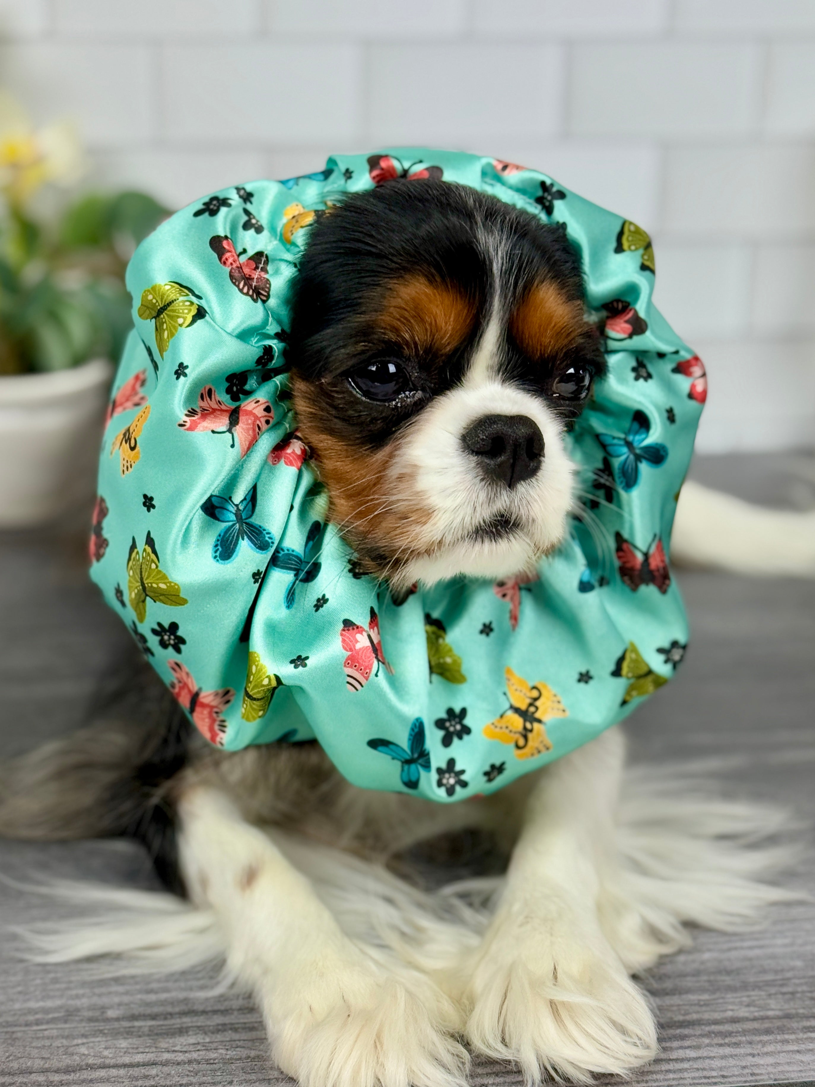 The Long-Ear Struggles are Real Snood - Butterfly Breeze