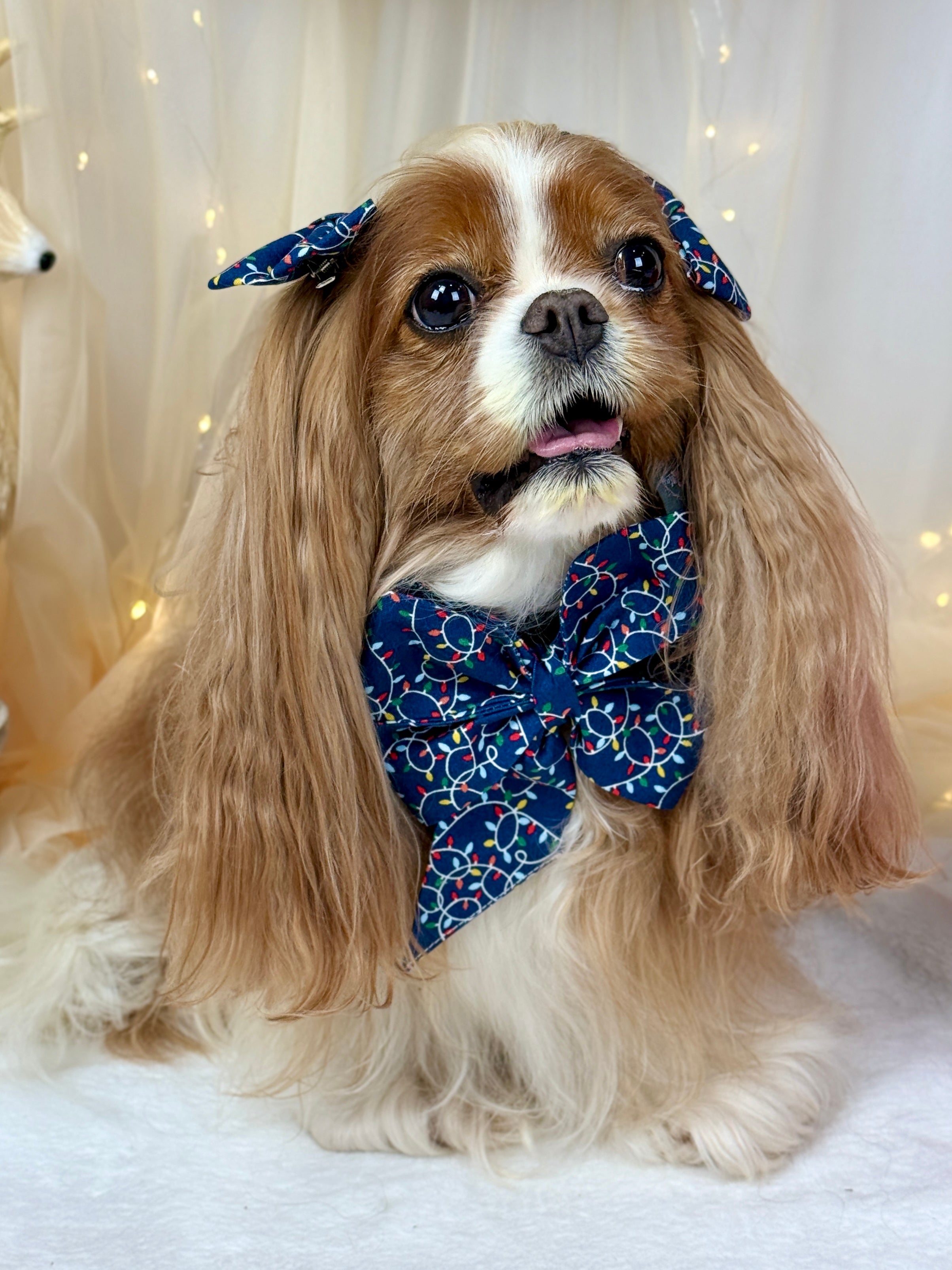 Strike a Pose Bow - Deck the Halls and Trim the Tree