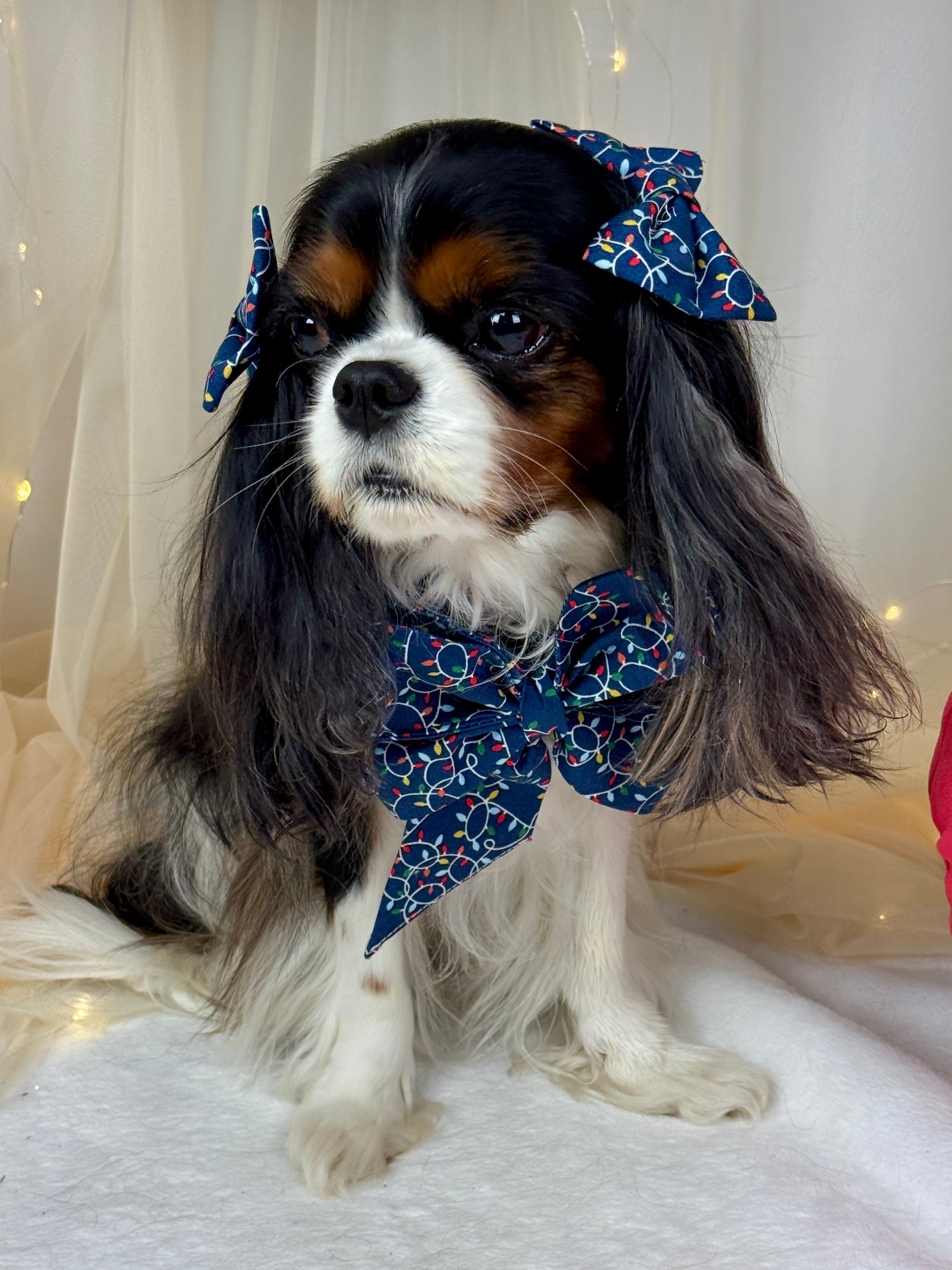 Strike a Pose Bow - Deck the Halls and Trim the Tree