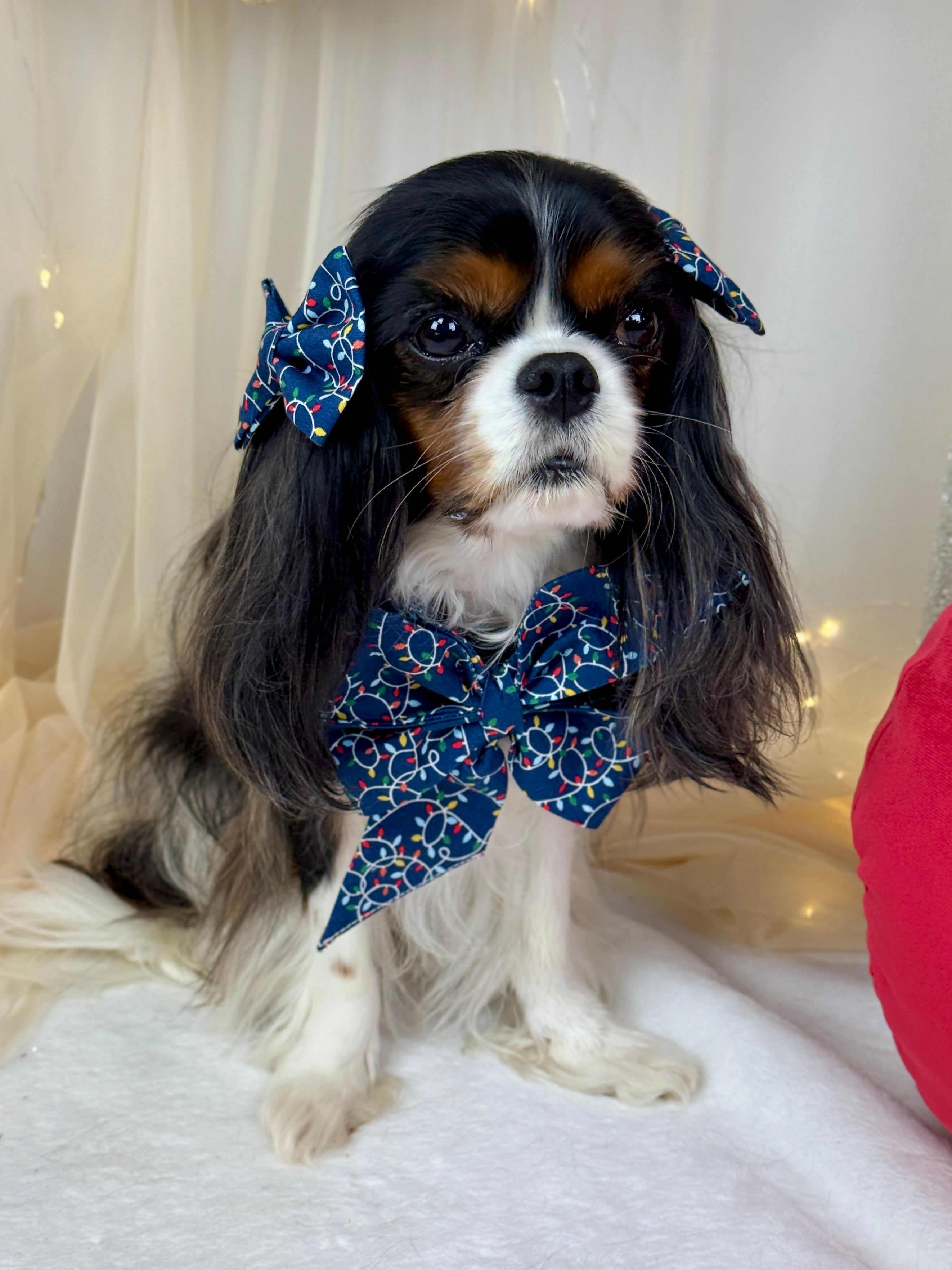 Strike a Pose Bow - Deck the Halls and Trim the Tree