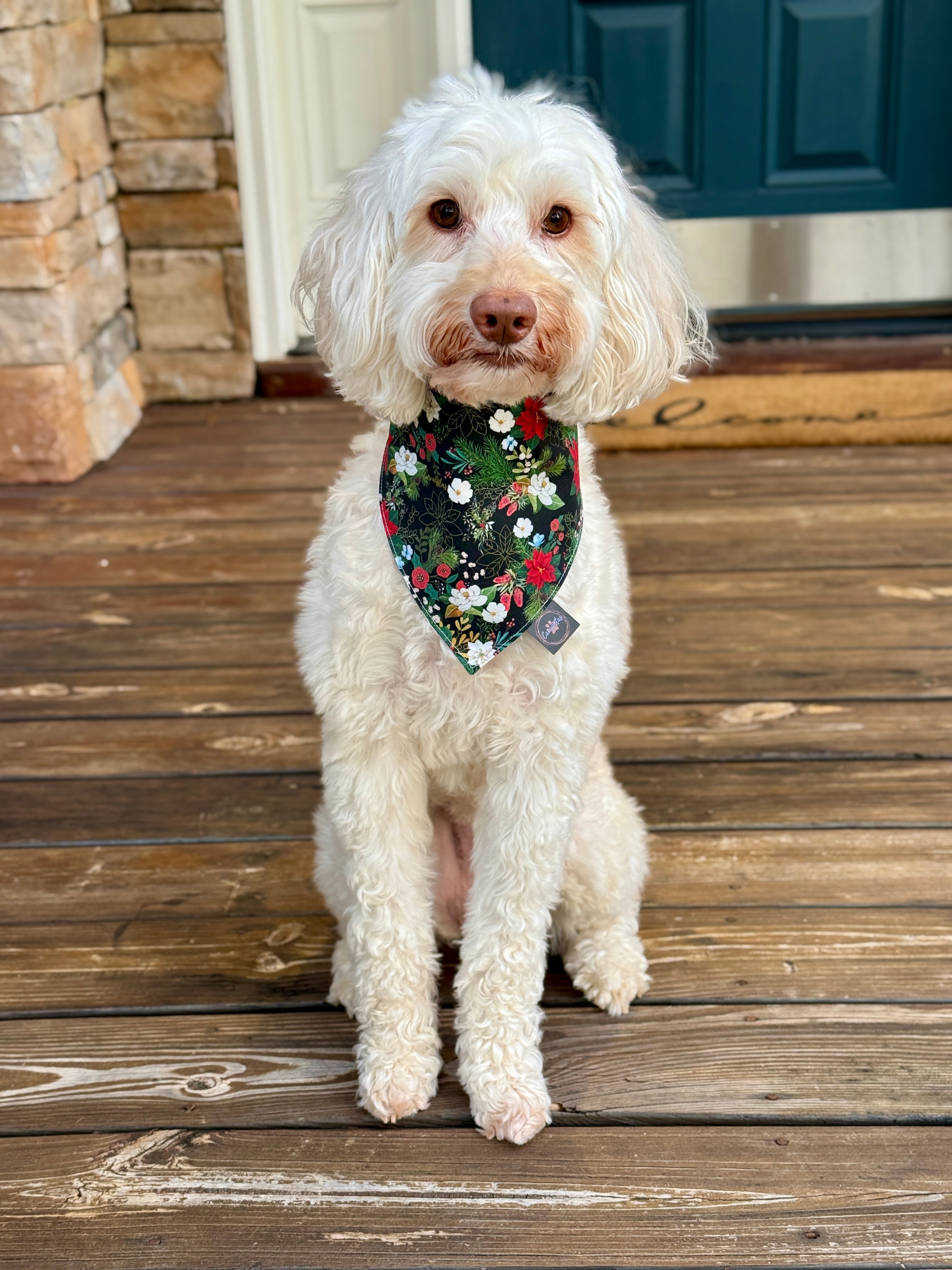 Intermission Wardrobe Change Reversible Bandana - Midnight Winter Garden & Twilight Sleigh Ride