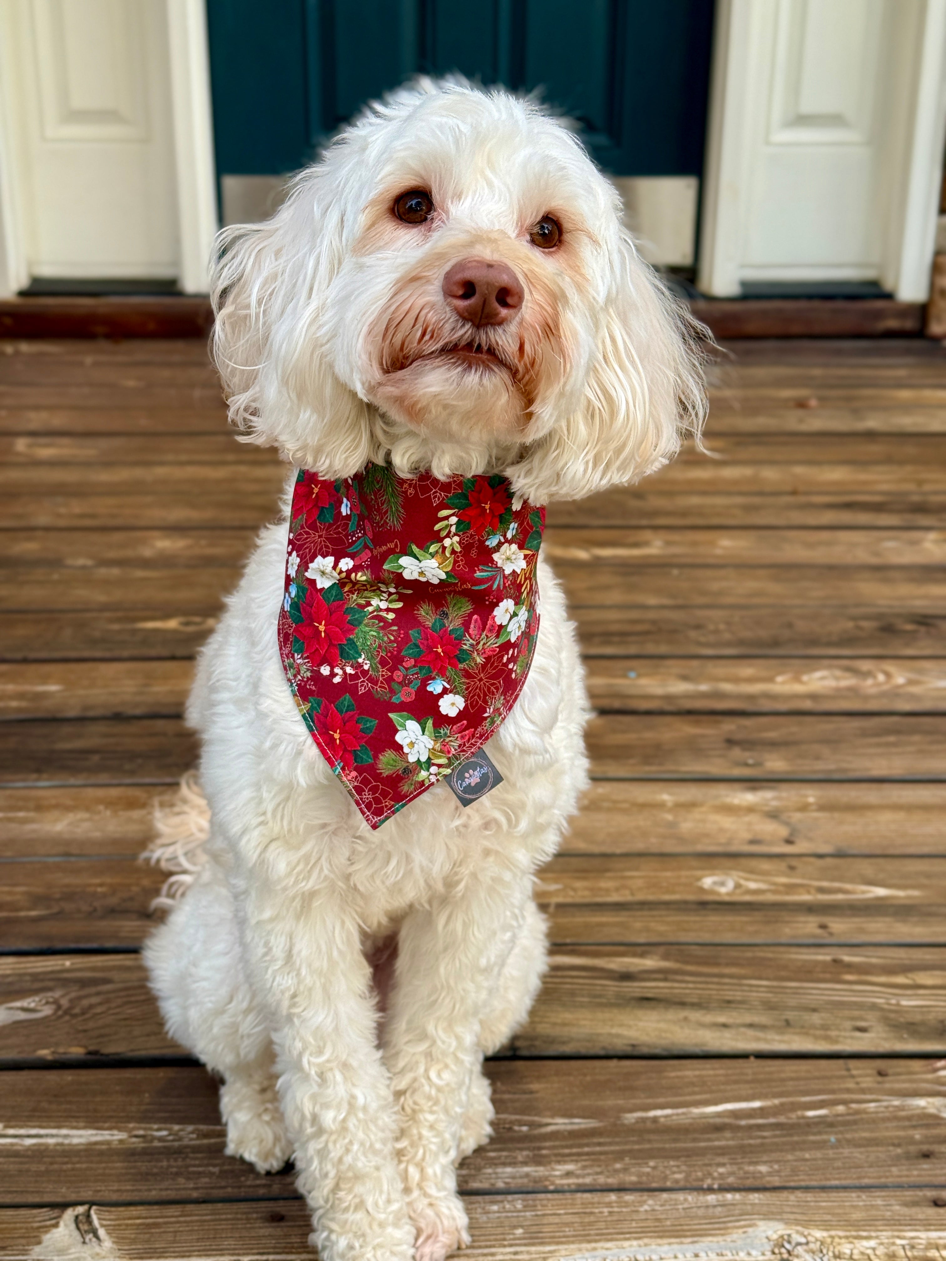 Intermission Wardrobe Change Reversible Bandana - Crimson Winter Garden & Evergreen Sleigh Ride