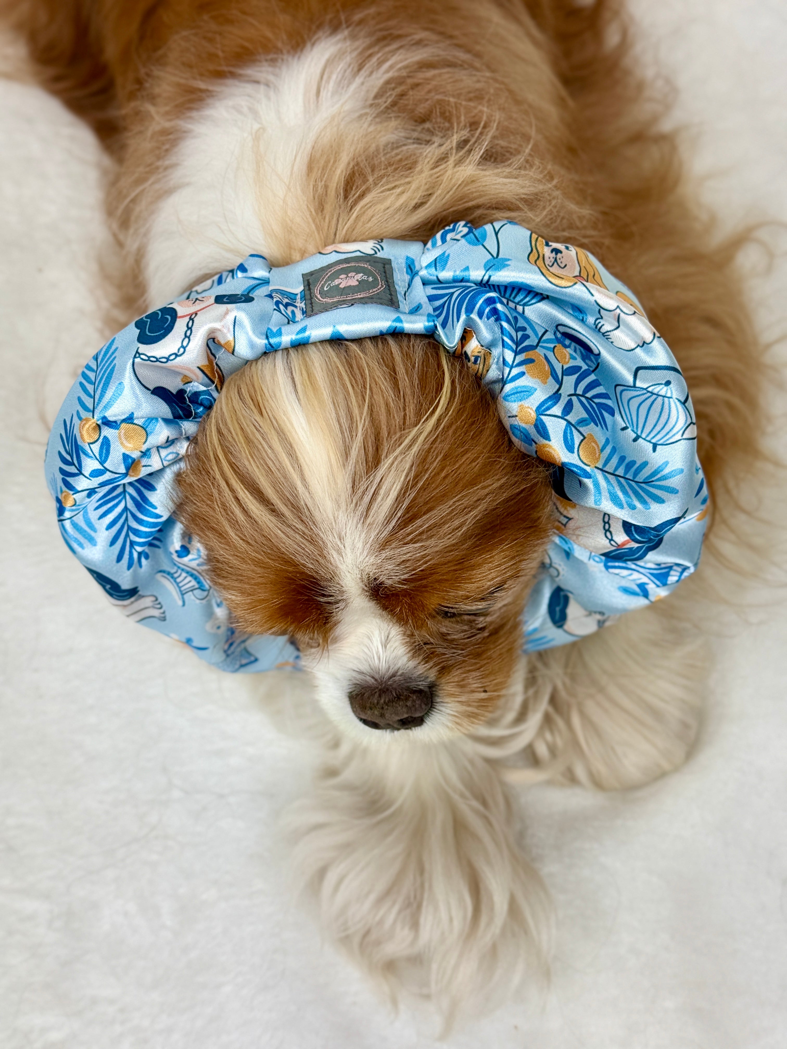 The Long Ear Struggles are Real Snood - Cavaliers at High Tea