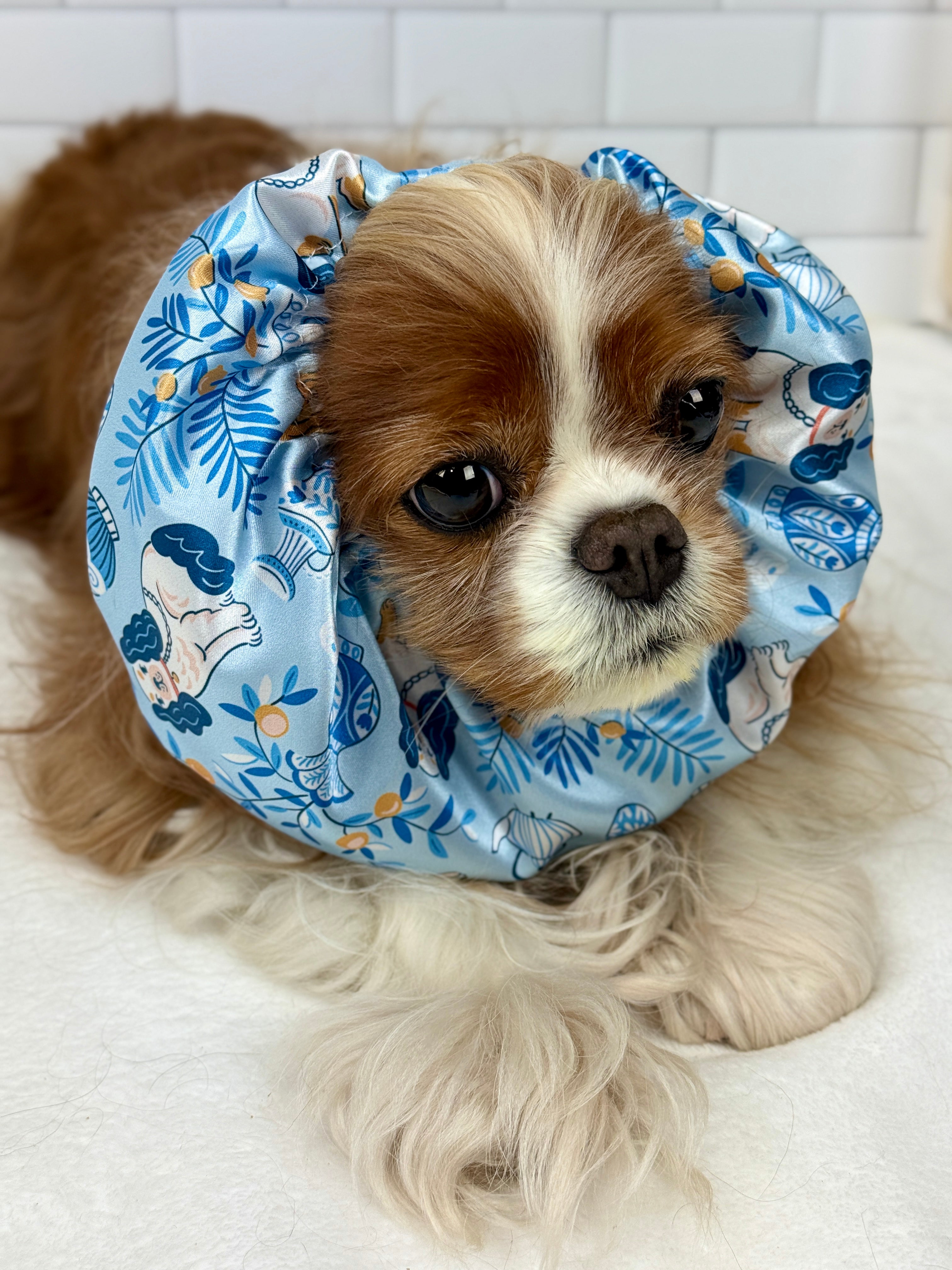 The Long Ear Struggles are Real Snood - Cavaliers at High Tea