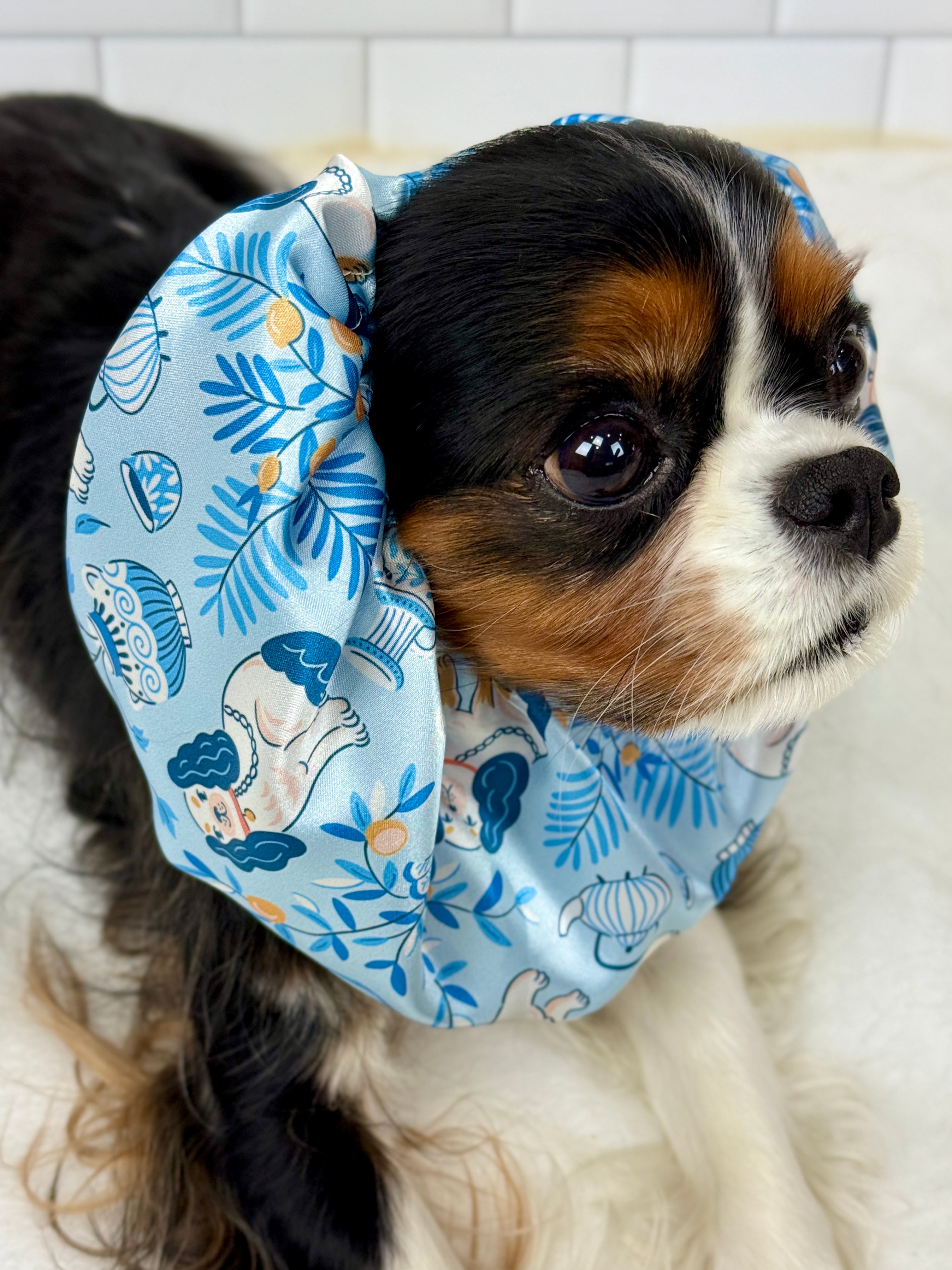 The Long Ear Struggles are Real Snood - Cavaliers at High Tea