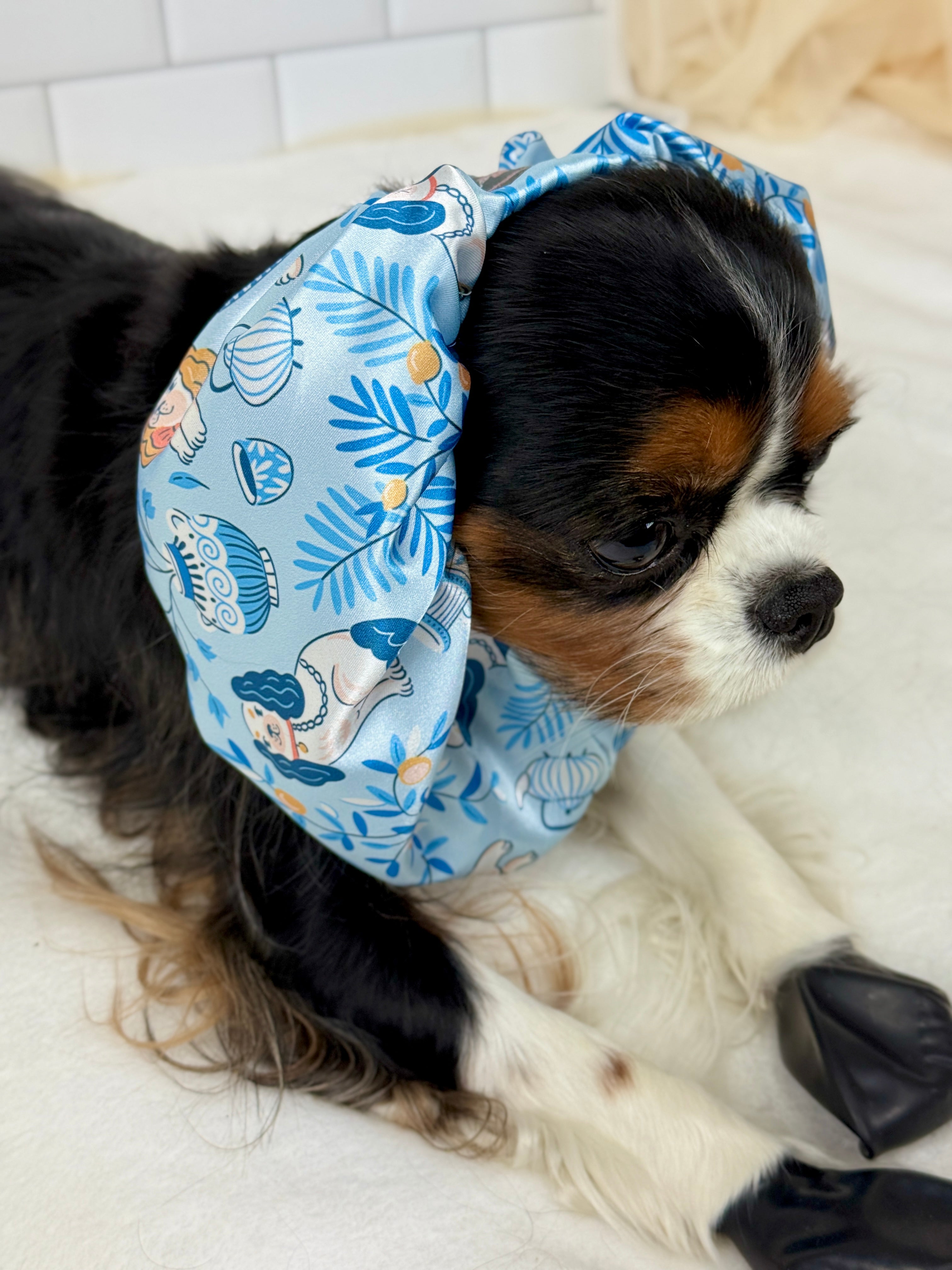 The Long Ear Struggles are Real Snood - Cavaliers at High Tea