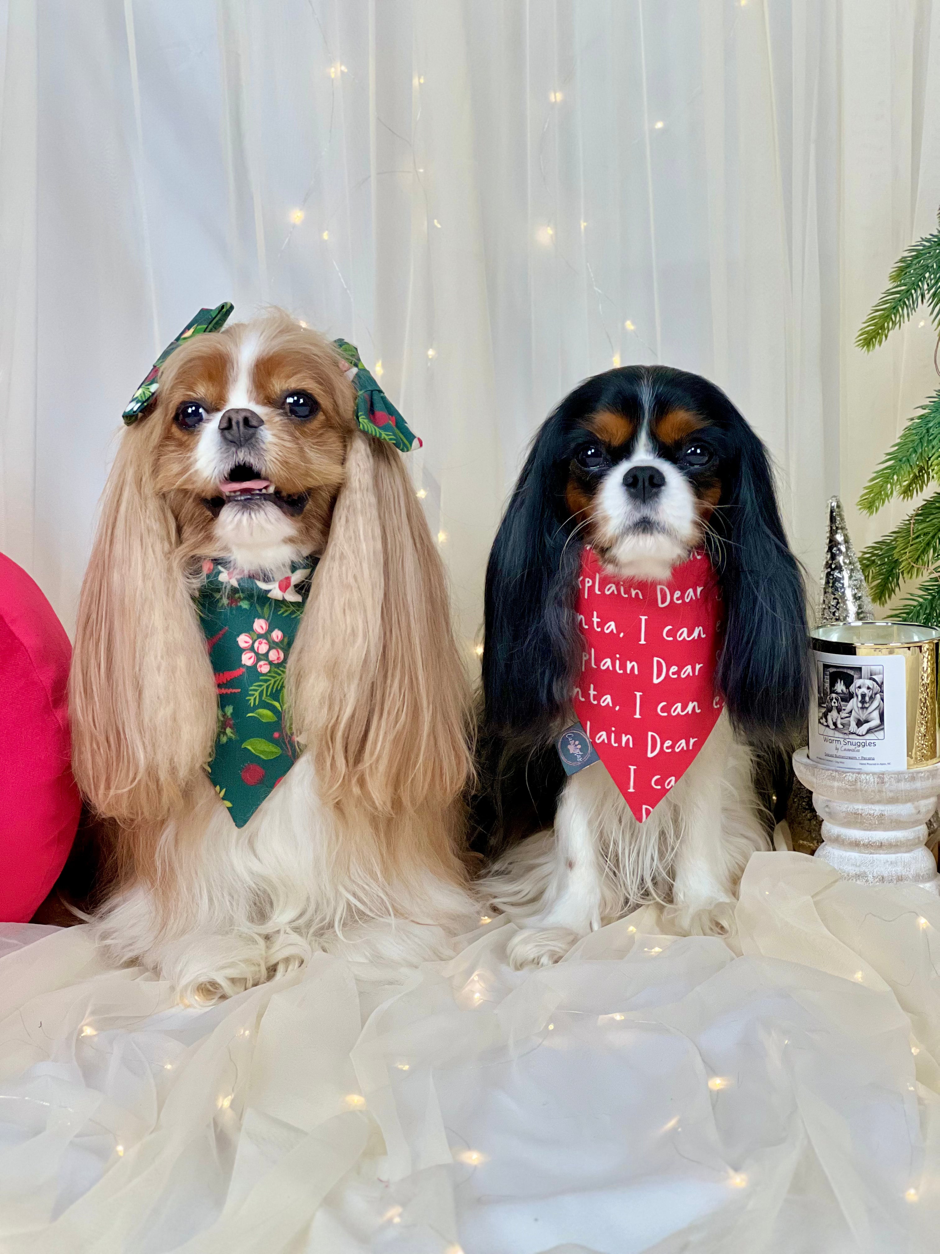 Intermission Wardrobe Change Reversible Bandana - Winter Blooms & Dear Santa...