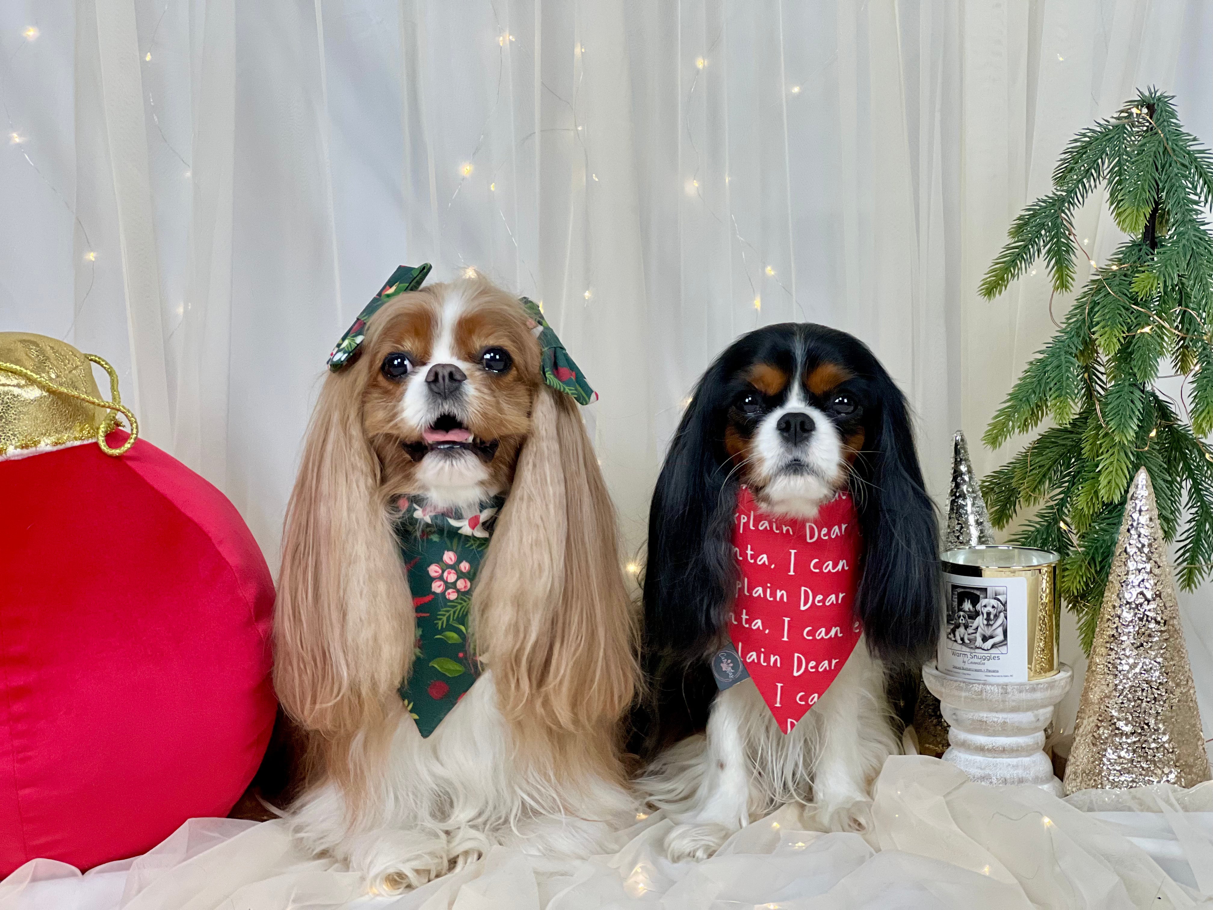 Intermission Wardrobe Change Reversible Bandana - Winter Blooms & Dear Santa...