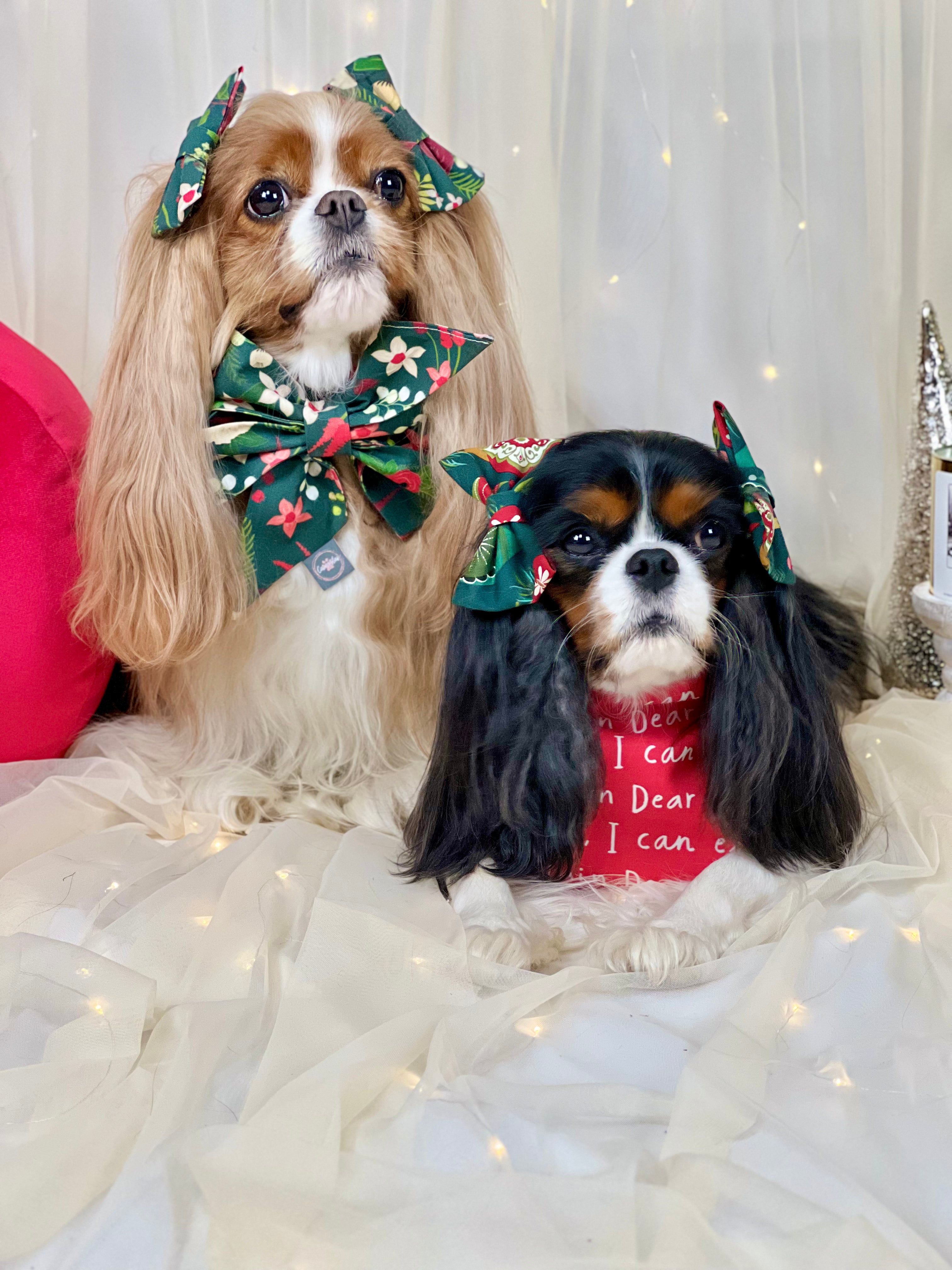 Intermission Wardrobe Change Reversible Bandana - Winter Blooms & Dear Santa...