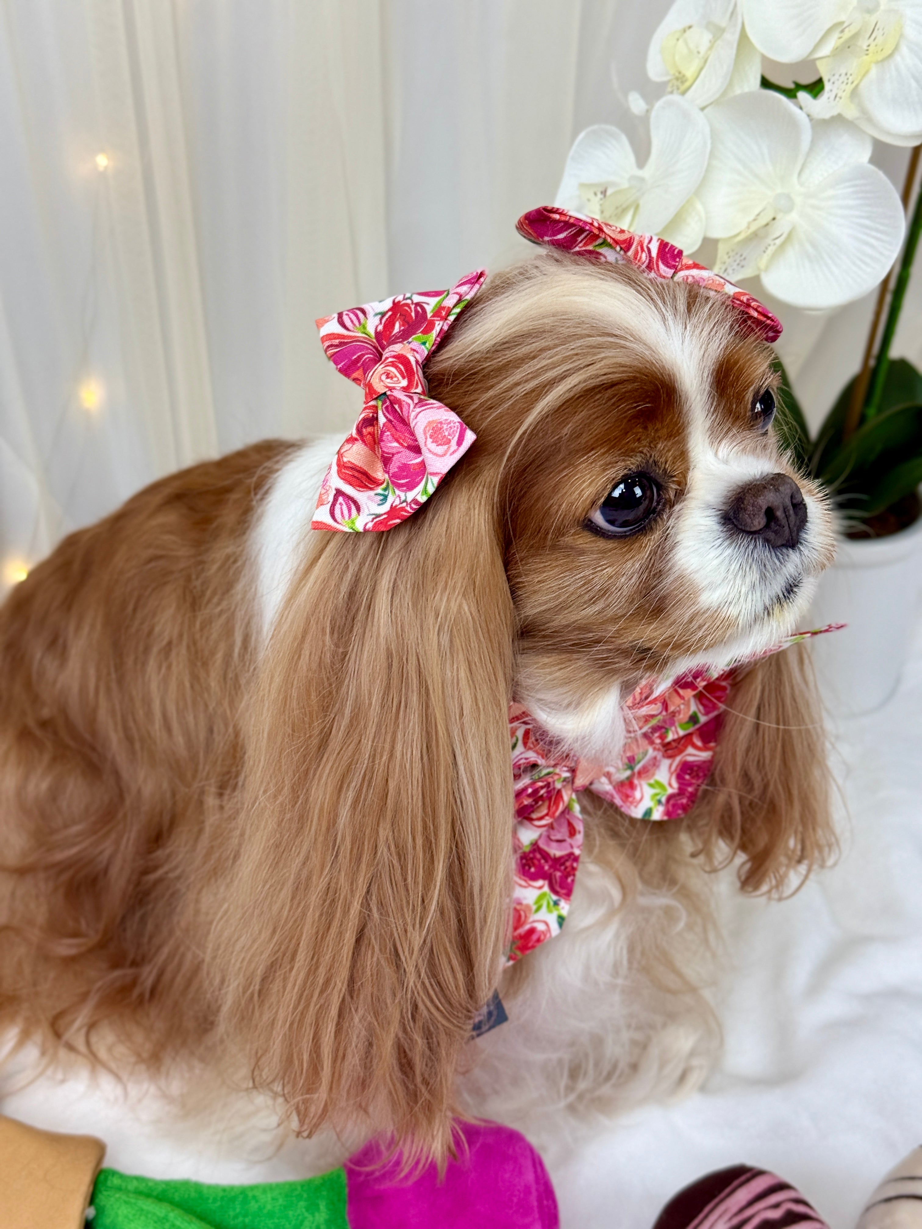Accessories are a Must Hair Bows - Love in Bloom or Sweetheart Sprinkles