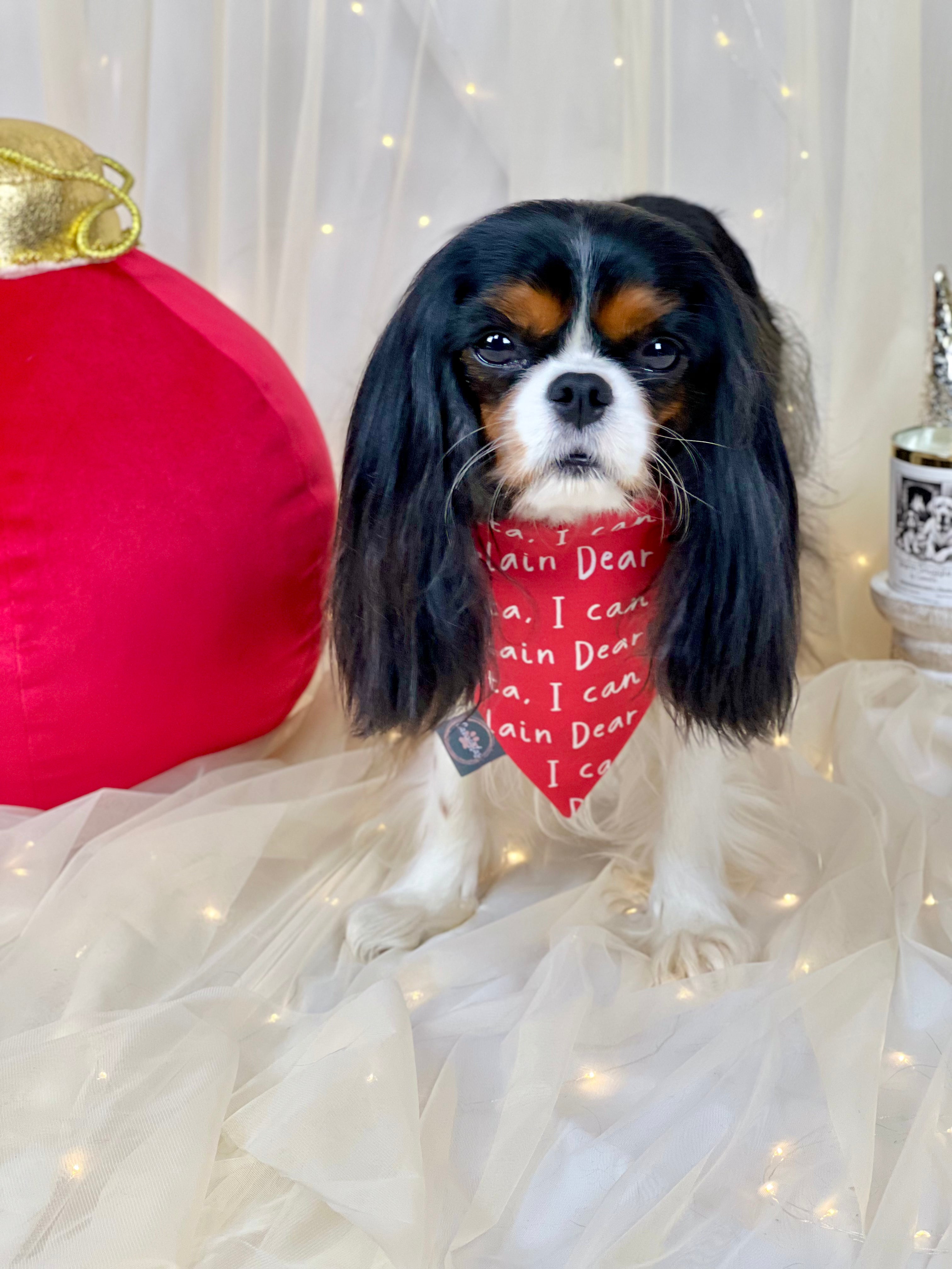 Intermission Wardrobe Change Reversible Bandana - Winter Blooms & Dear Santa...