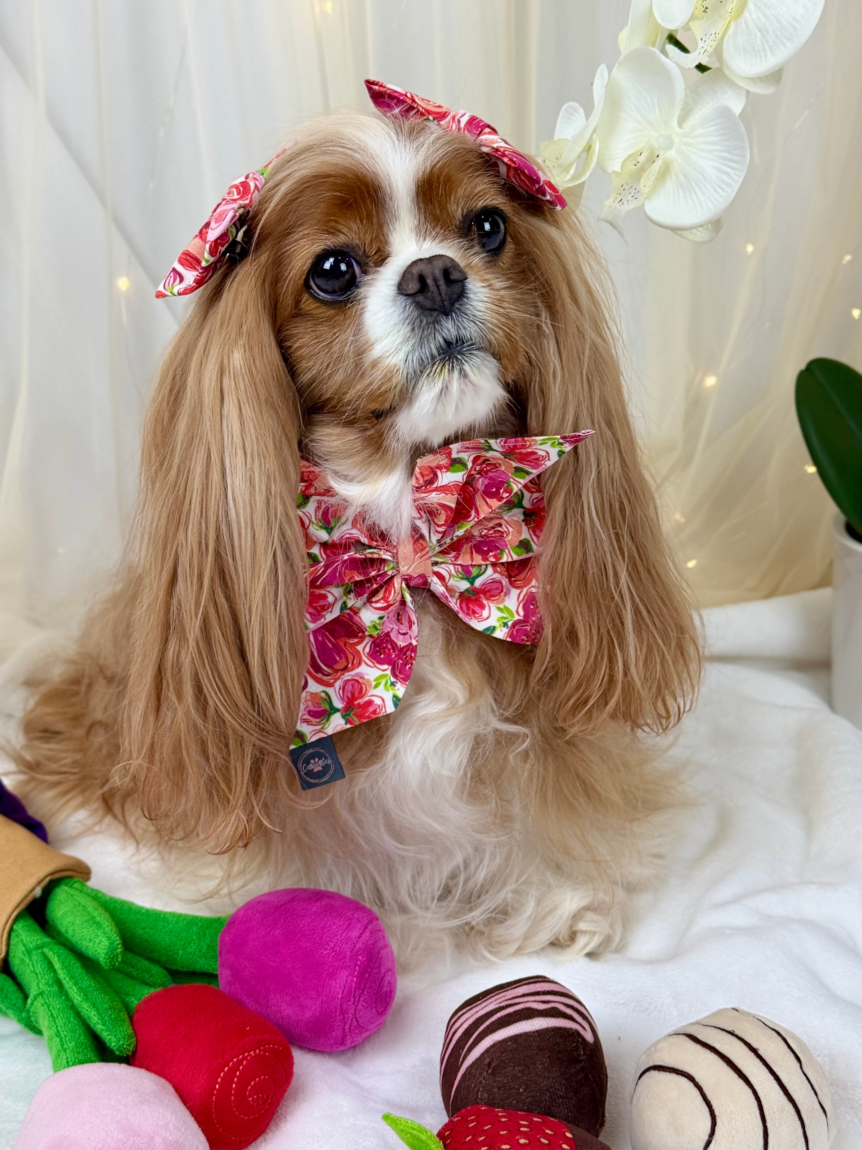 Strike a Pose Bow - Love in Bloom & Sweetheart Sprinkles