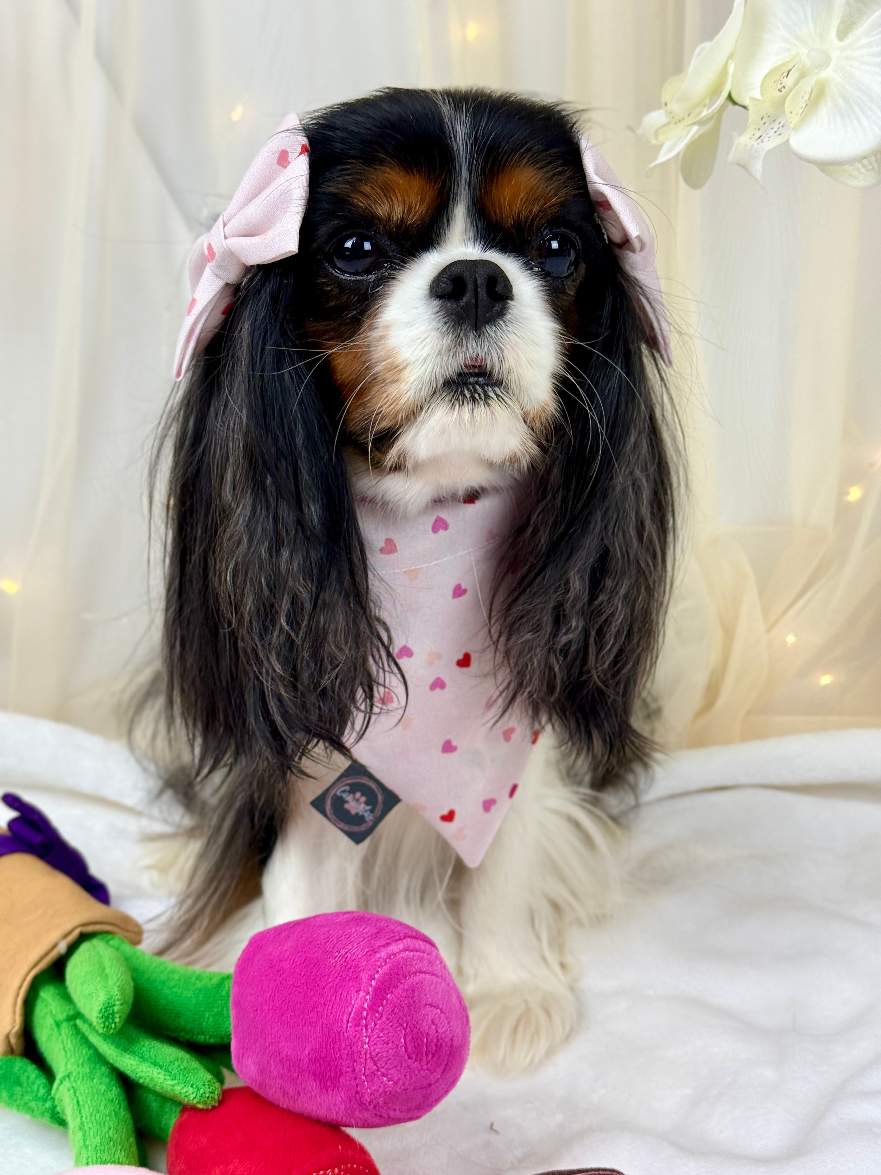 Intermission Wardrobe Change Reversible Bandana - Love in Bloom & Sweetheart Sprinkles