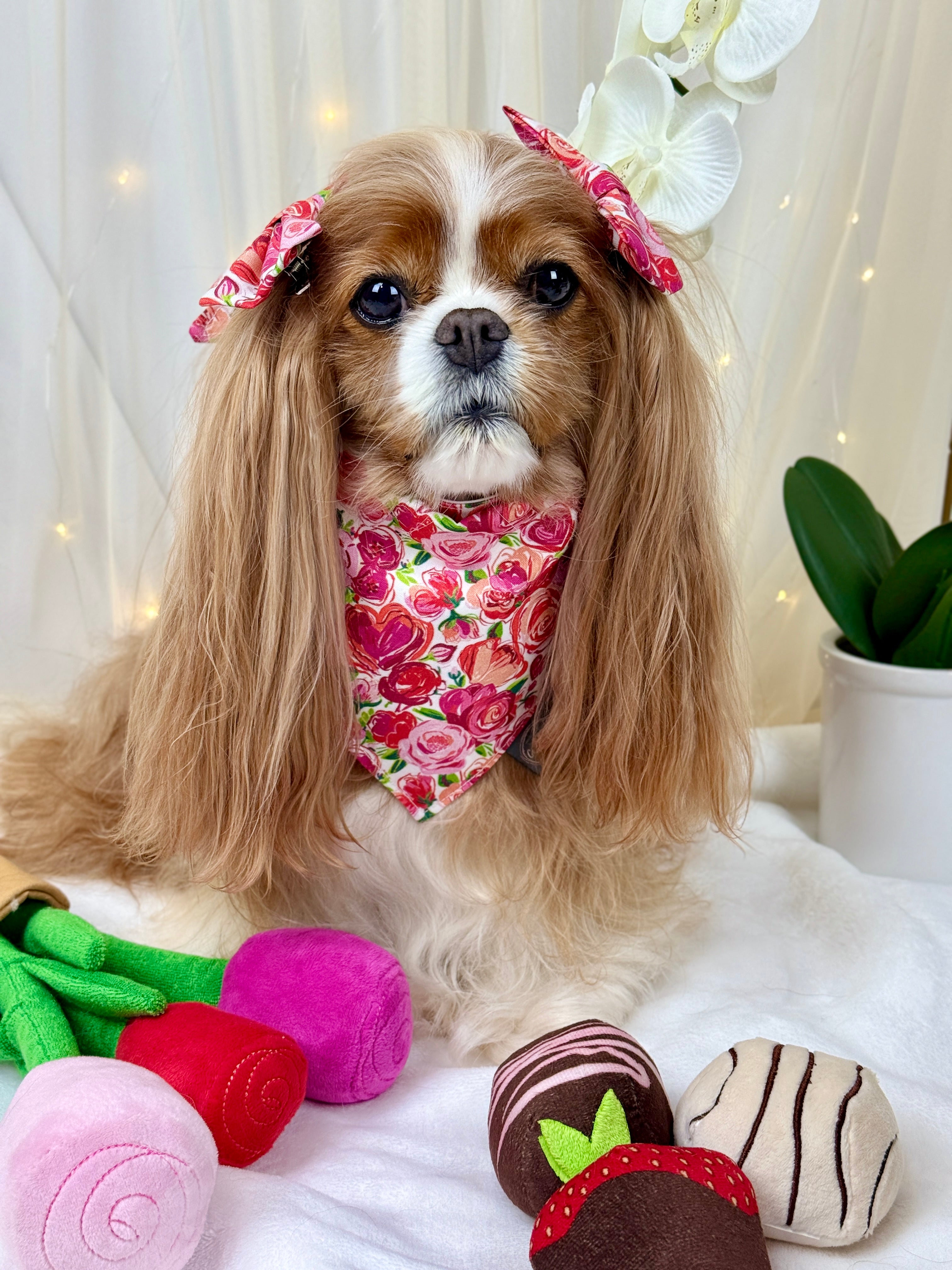 Intermission Wardrobe Change Reversible Bandana - Love in Bloom & Sweetheart Sprinkles