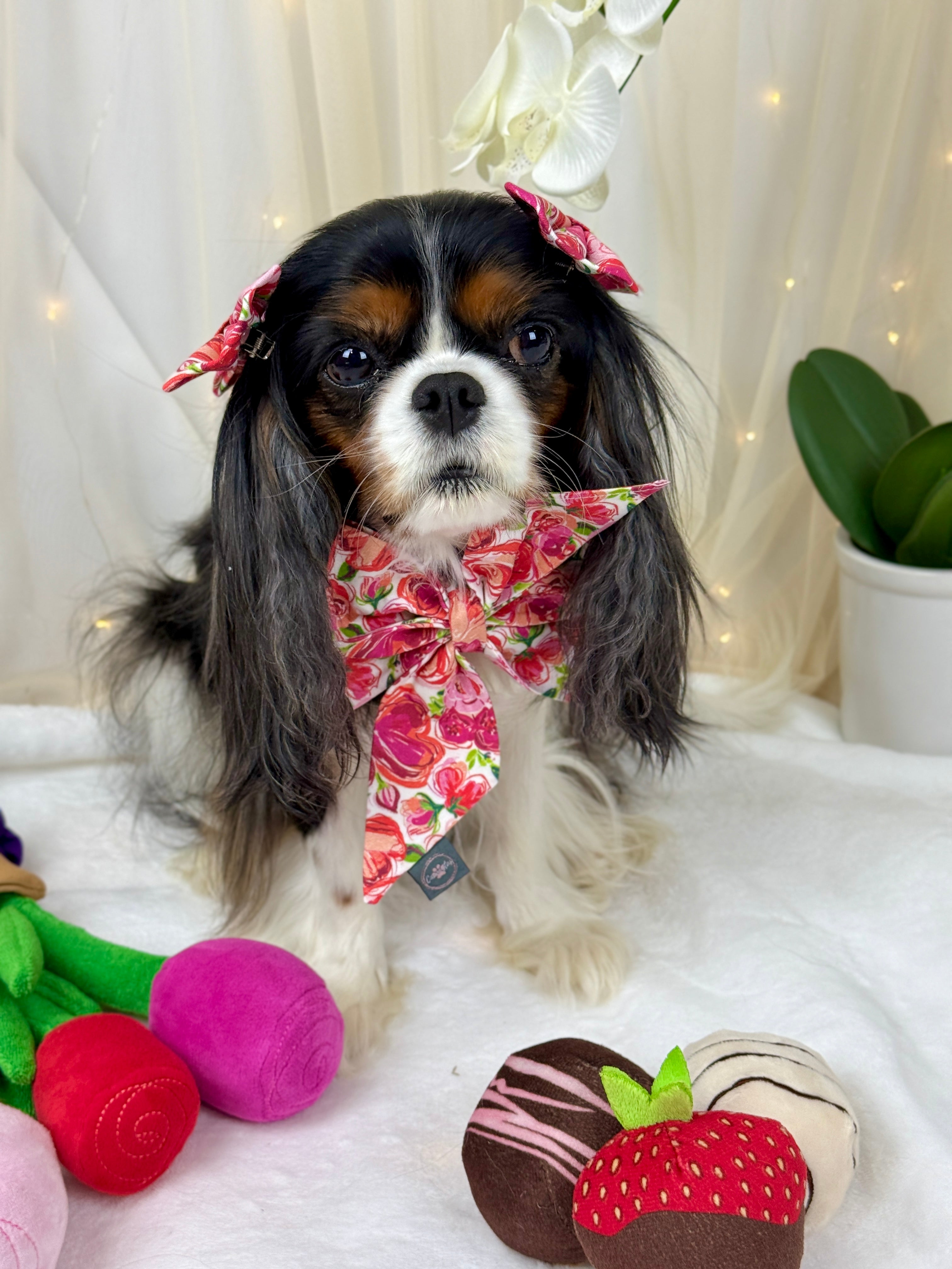 Strike a Pose Bow - Love in Bloom & Sweetheart Sprinkles