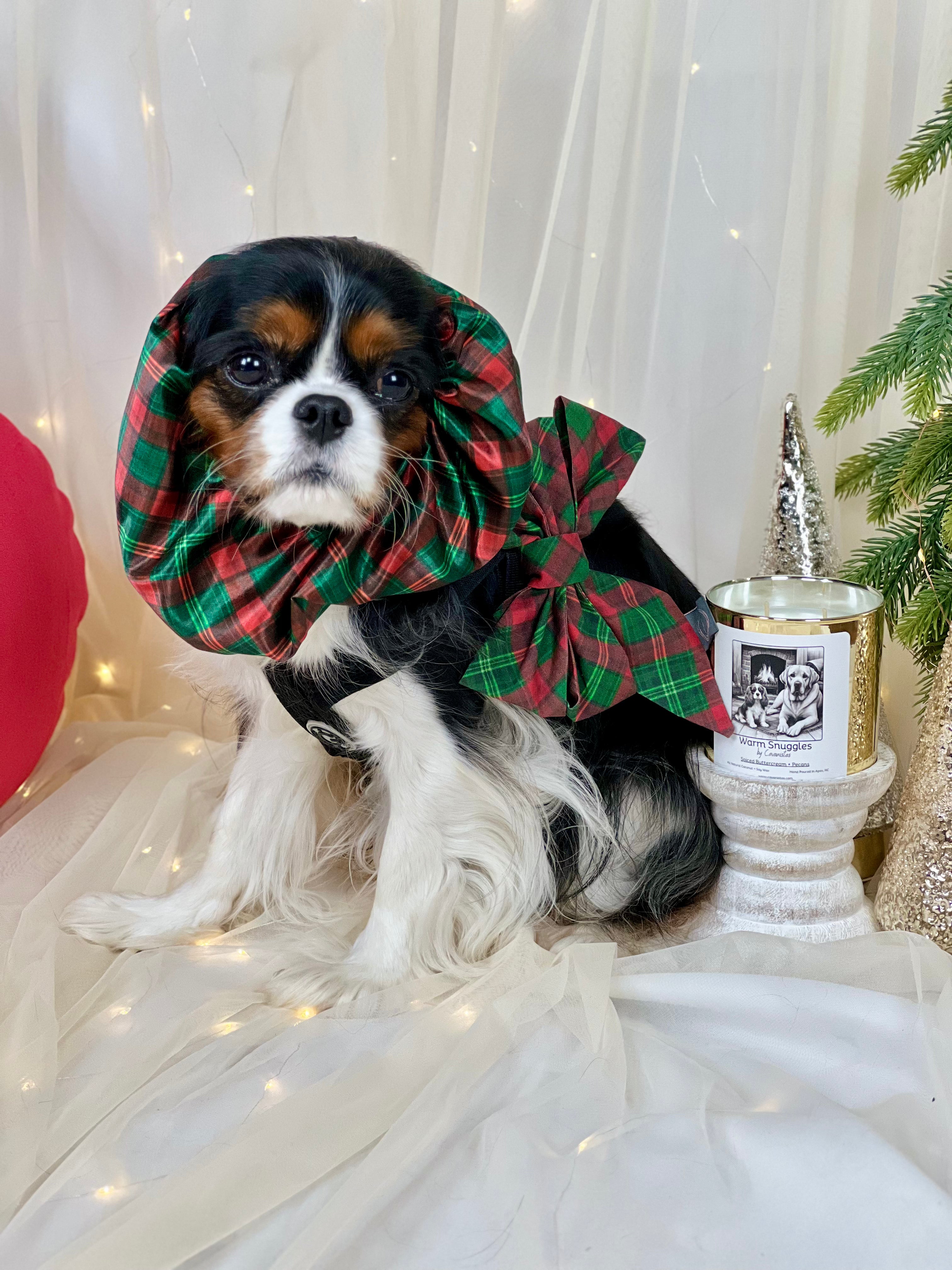 The Long-Ear Struggles are Real Snood - Holiday Tartan