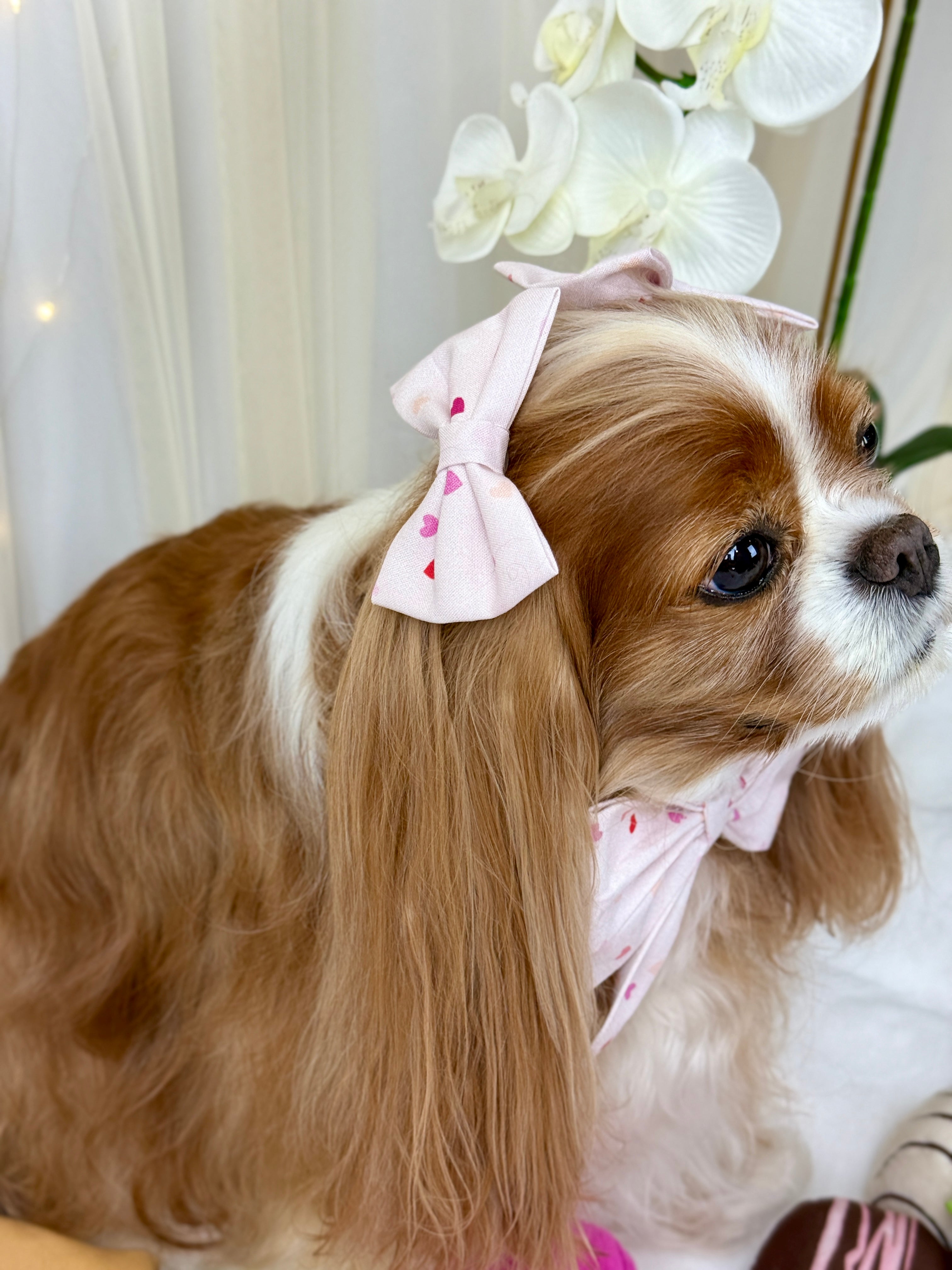 Accessories are a Must Hair Bows - Love in Bloom or Sweetheart Sprinkles