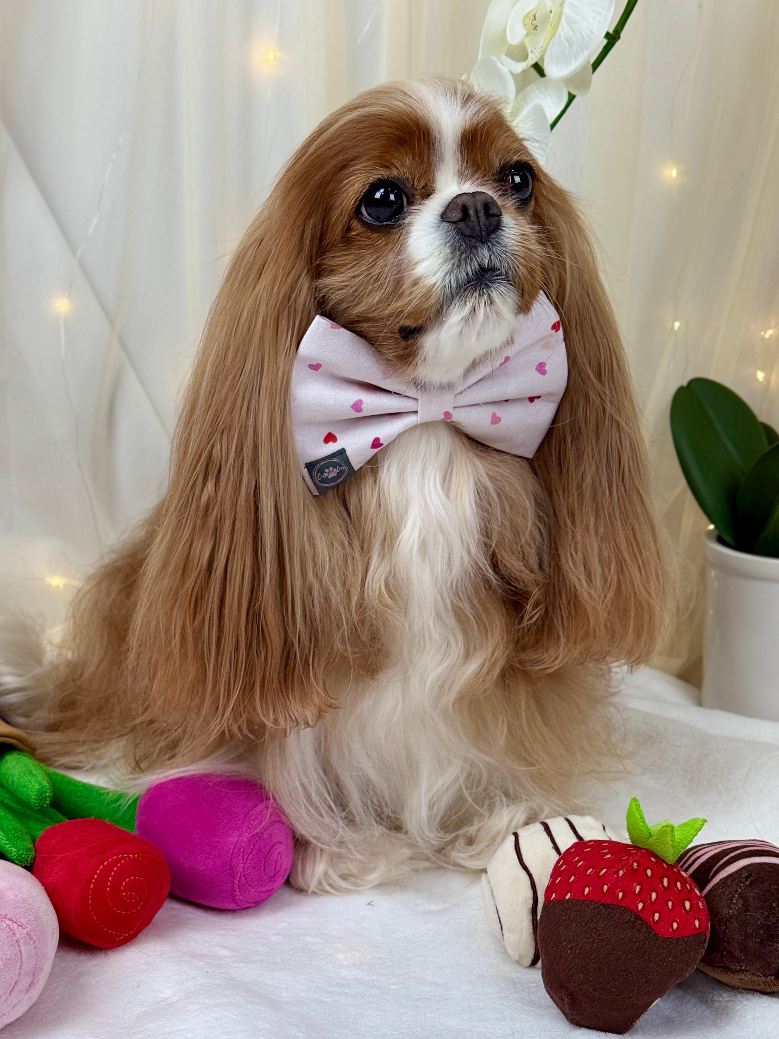 Dress to Impress Bow Tie - Love in Bloom or Sweetheart Sprinkles