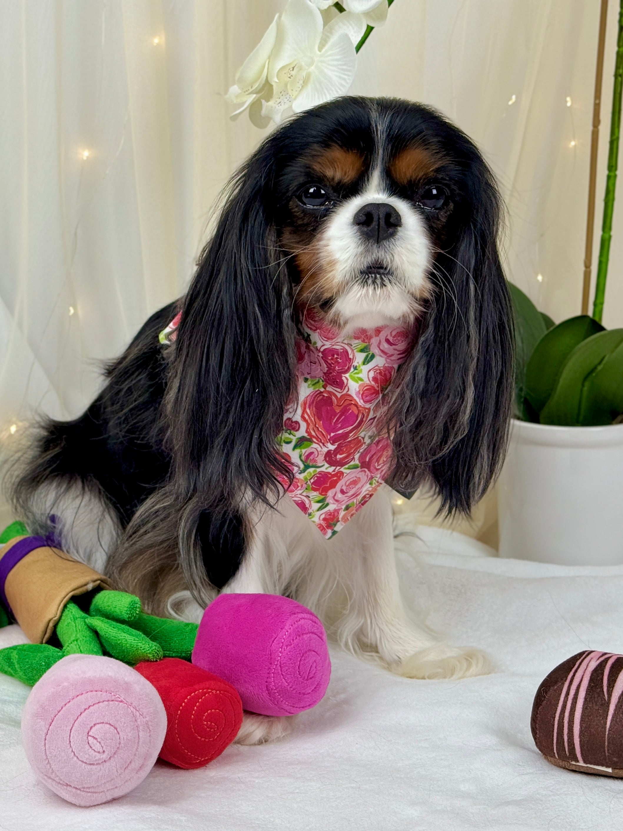 Intermission Wardrobe Change Reversible Bandana - Love in Bloom & Sweetheart Sprinkles