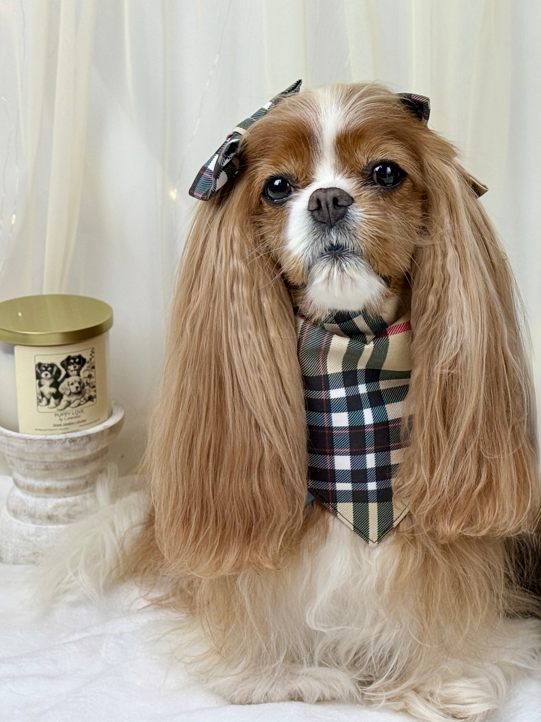 Intermission Wardrobe Change Reversible Bandana - Furberry Plaid & Mom's Drinking Buddy