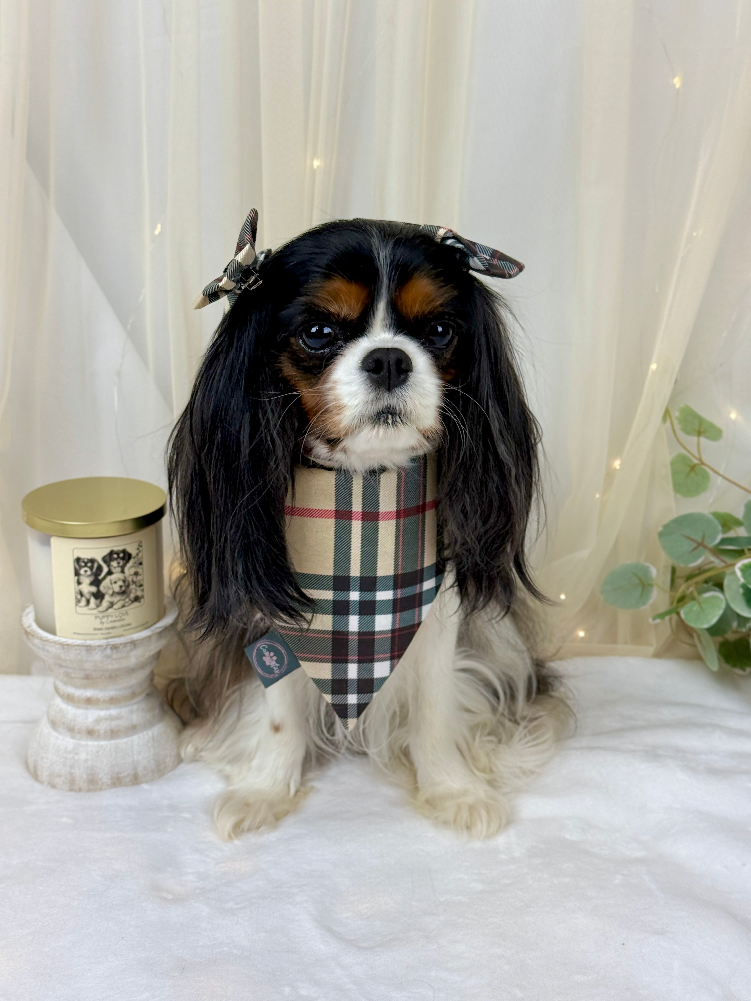 Intermission Wardrobe Change Reversible Bandana - Furberry Plaid & Mom's Drinking Buddy