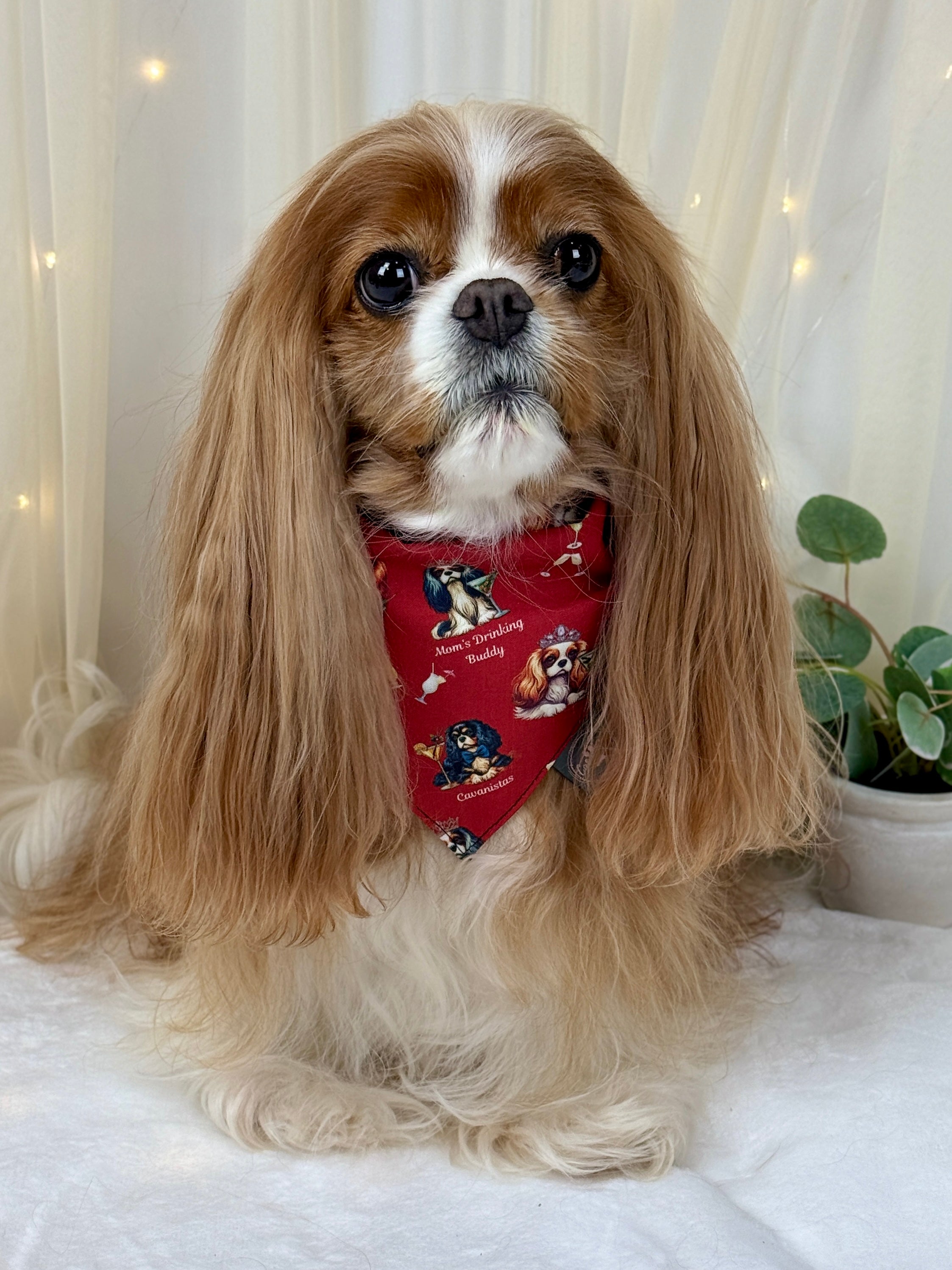 Intermission Wardrobe Change Reversible Bandana - Furberry Plaid & Mom's Drinking Buddy