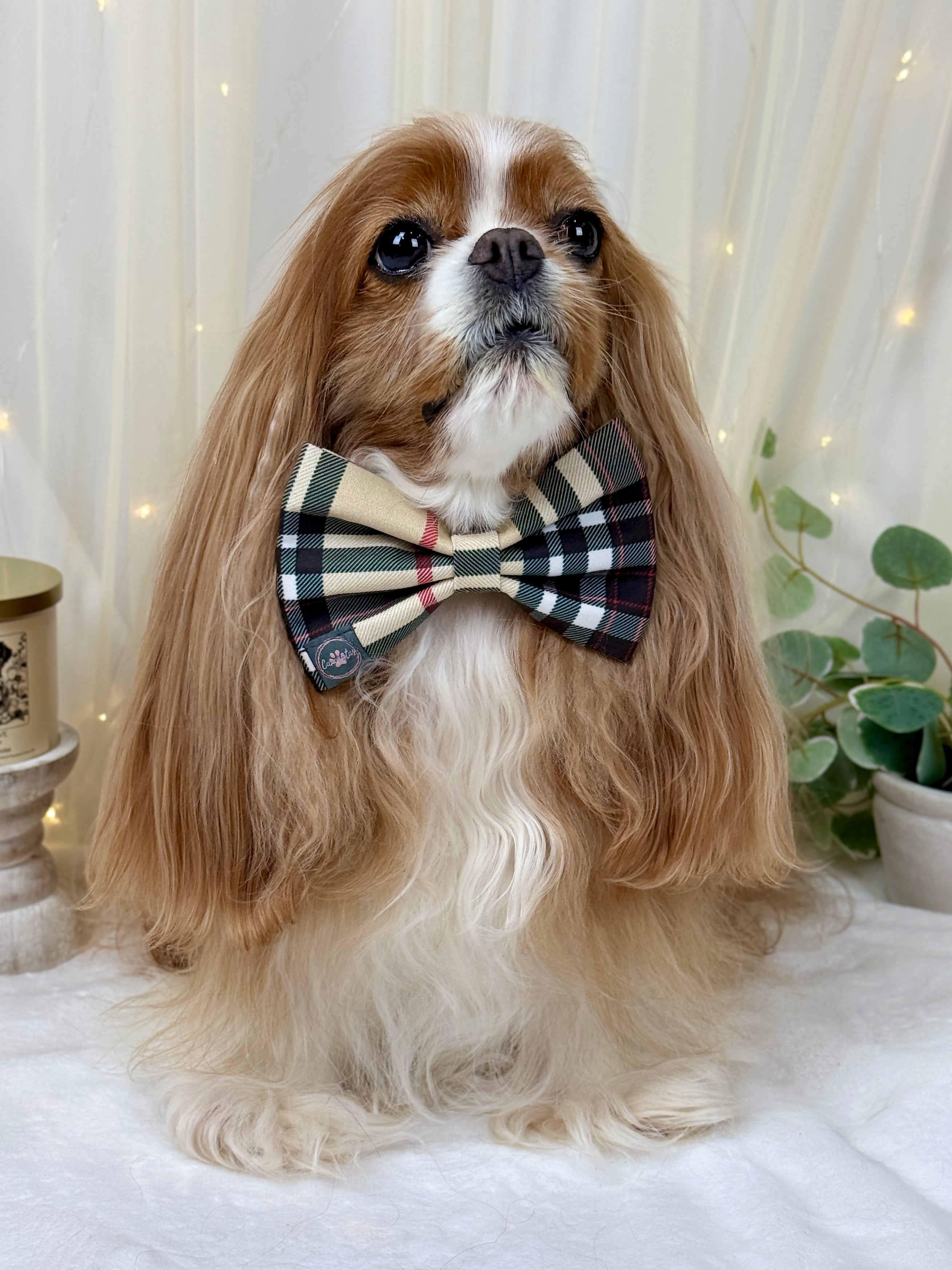 Dress to Impress Bow Tie- Furberry Plaid