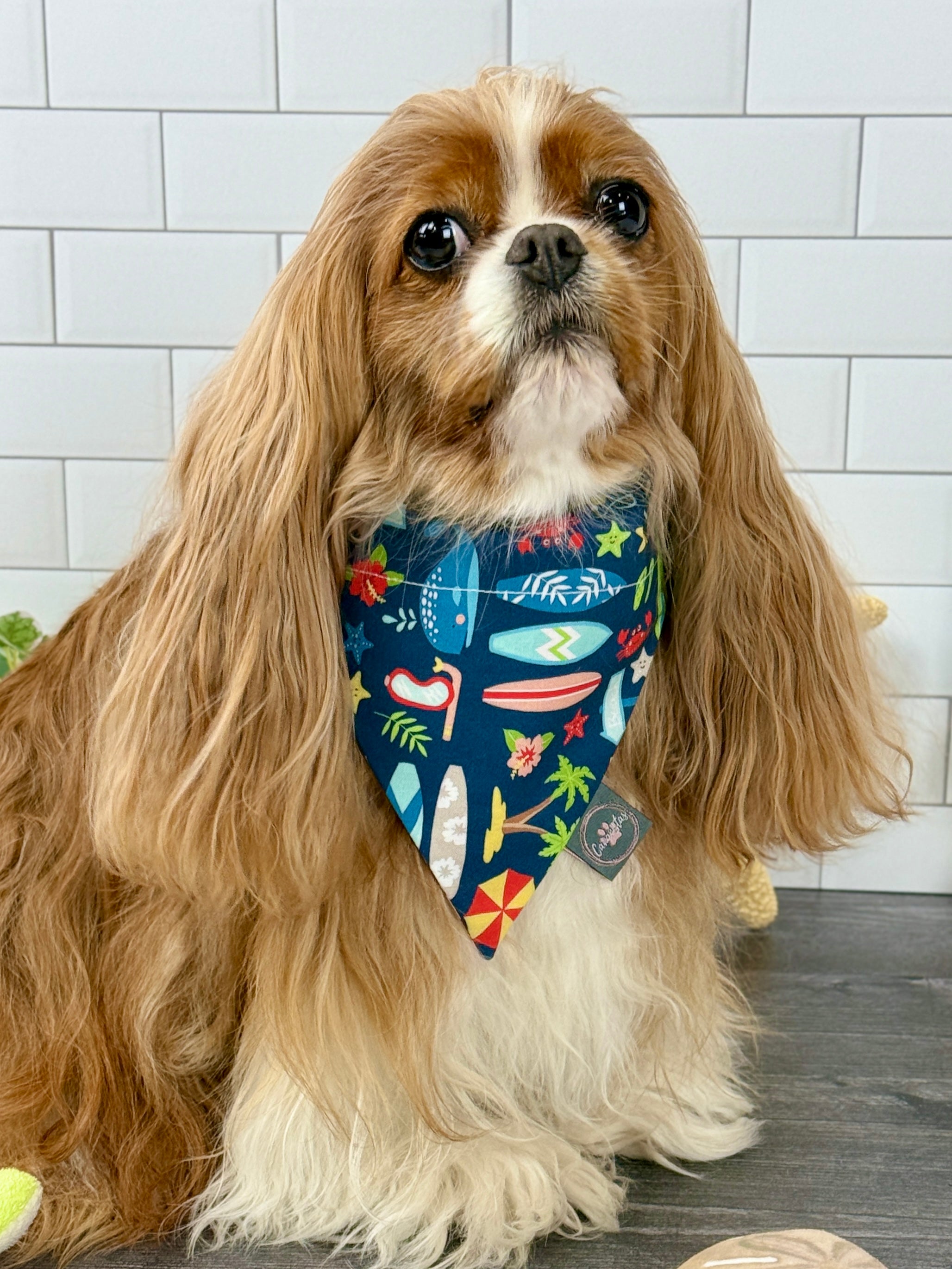 Intermission Wardrobe Change Reversible Bandana - Surf Club Honolulu & Aloha
