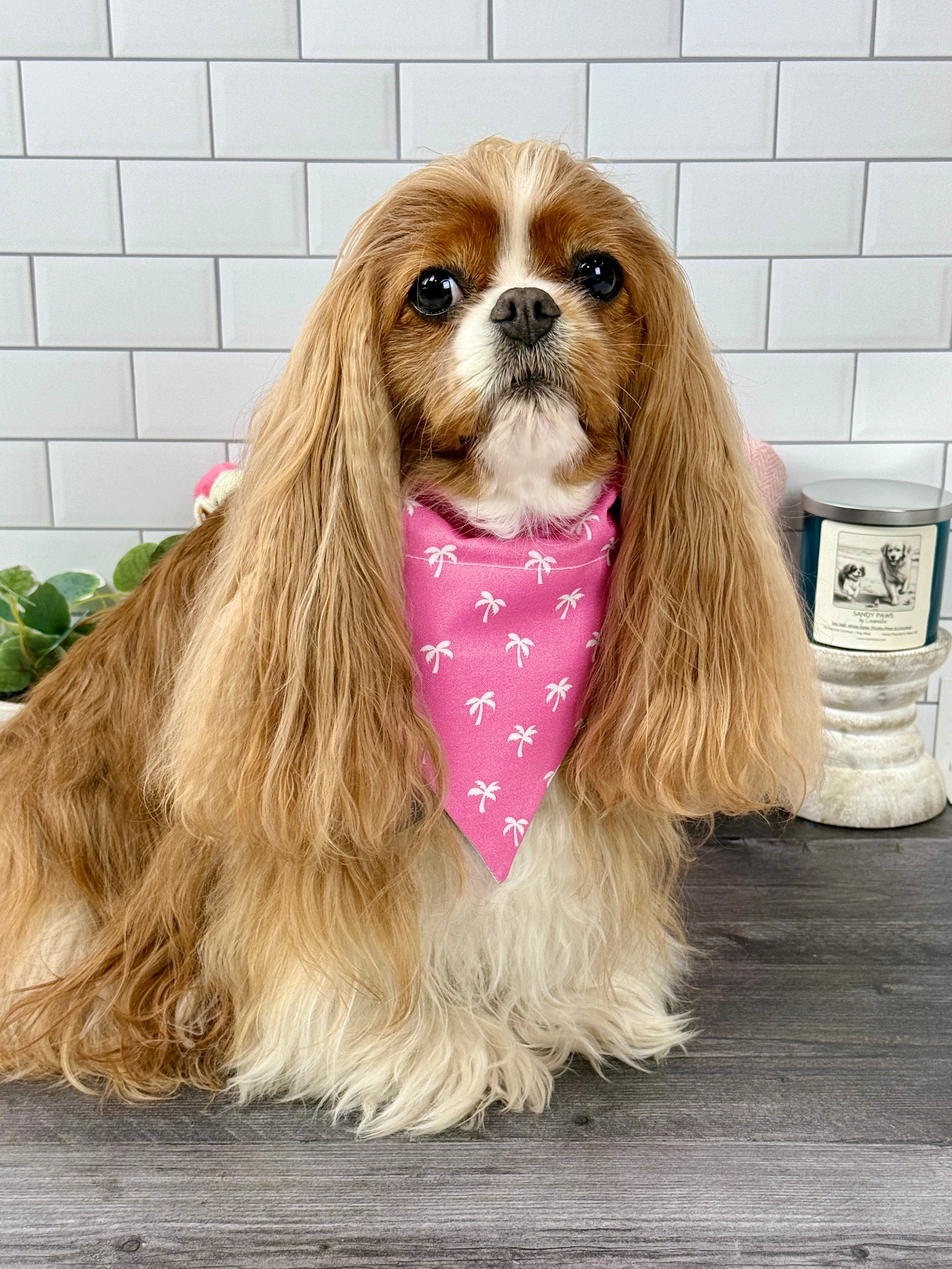 Intermission Wardrobe Change Reversible Bandana - Flamingo Bay & Isle of Palms