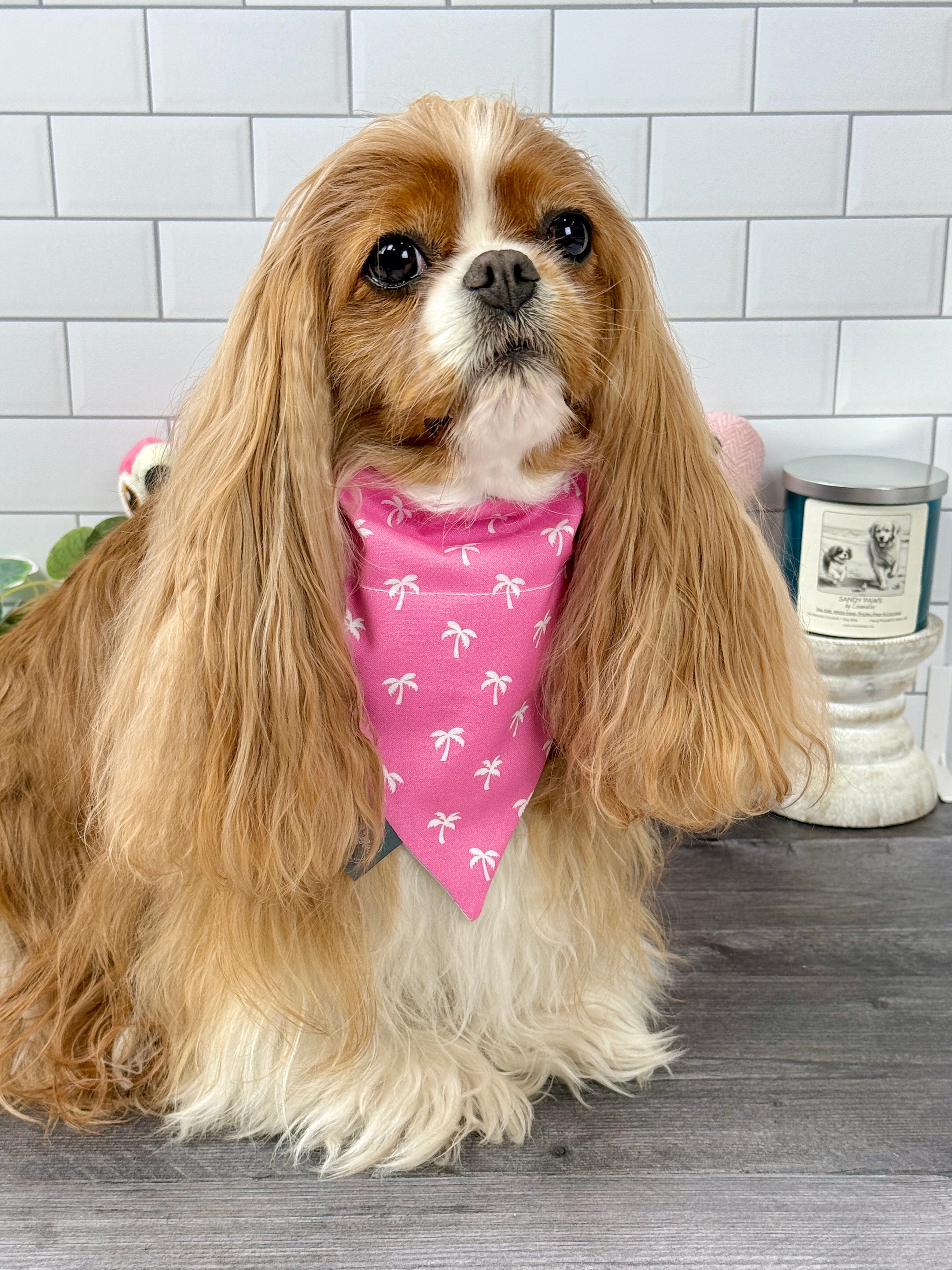 Intermission Wardrobe Change Reversible Bandana - Flamingo Bay & Isle of Palms