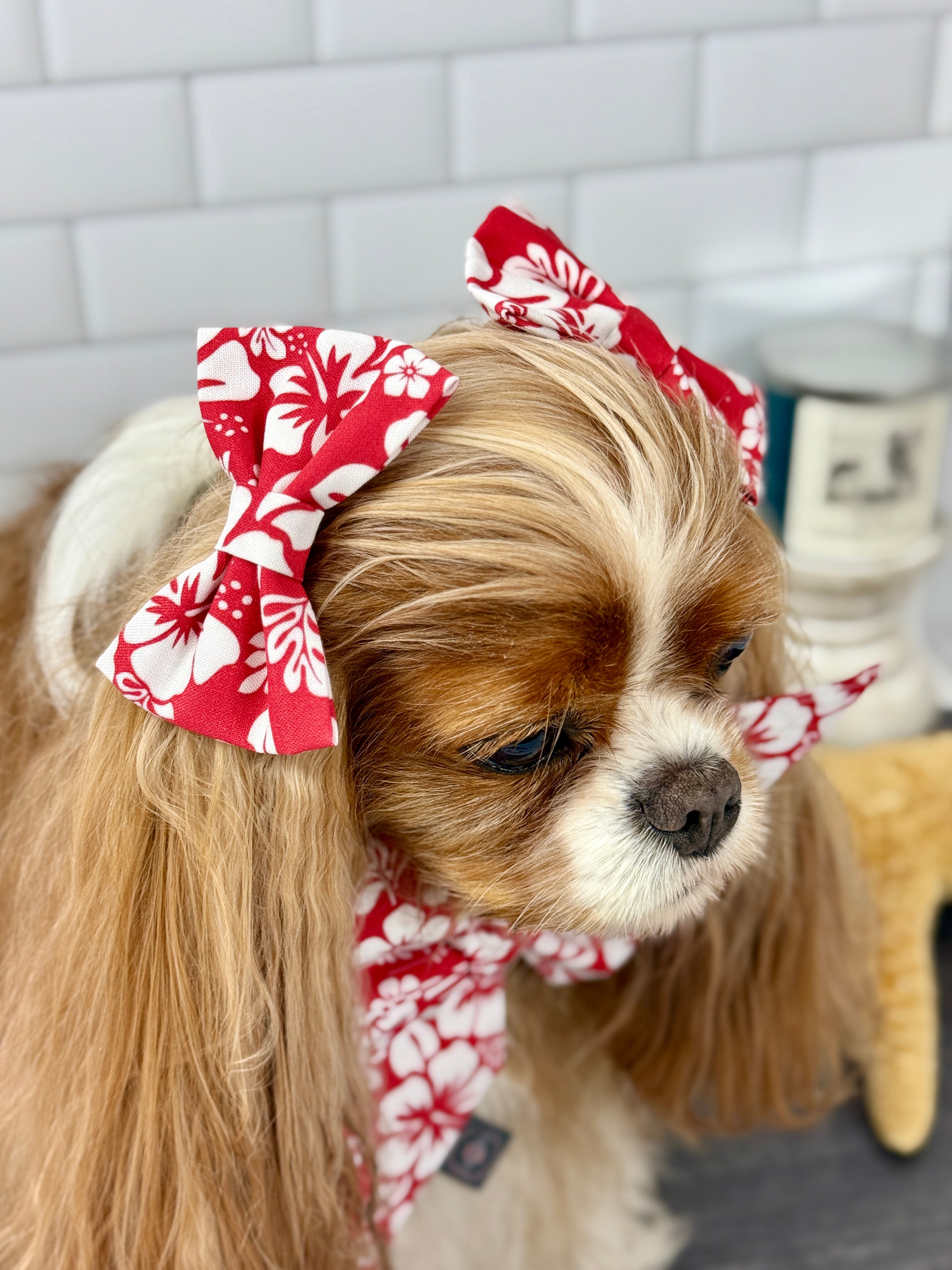 Accessories are a Must Hair Bows - Aloha
