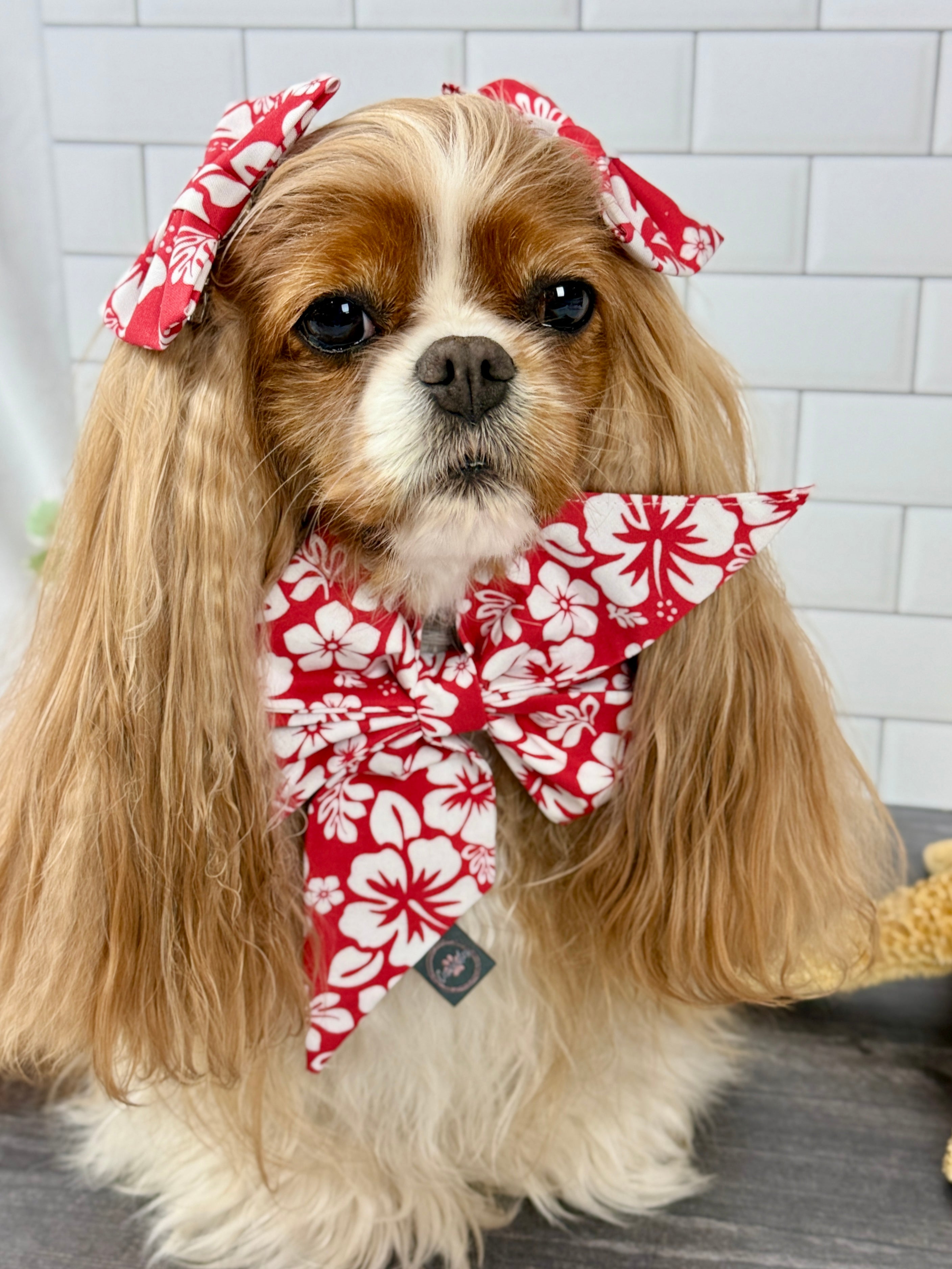 Strike a Pose Bow - Aloha