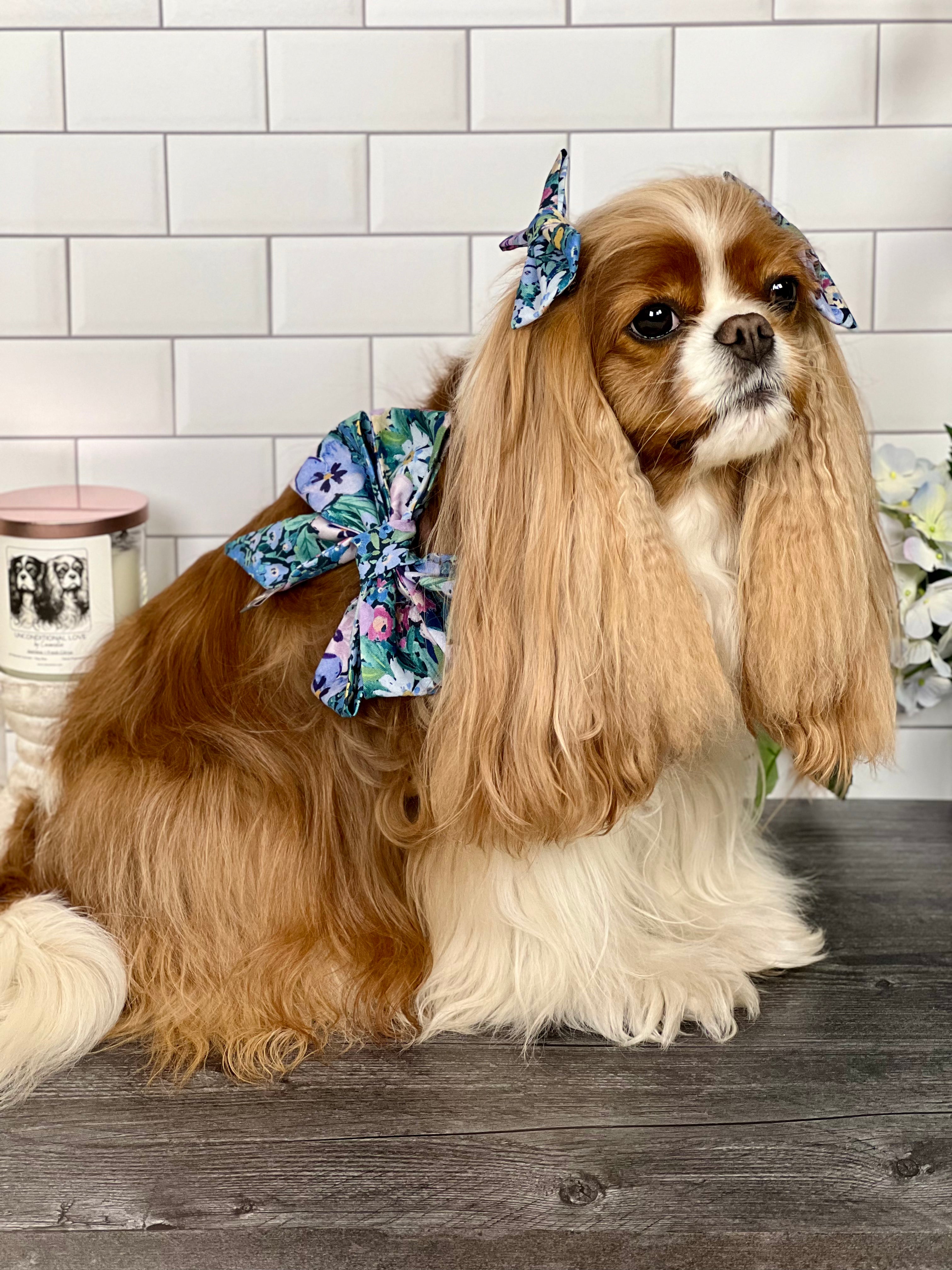 Strike a Pose Bow - Jardin de Fleurs and Lavender Gingham