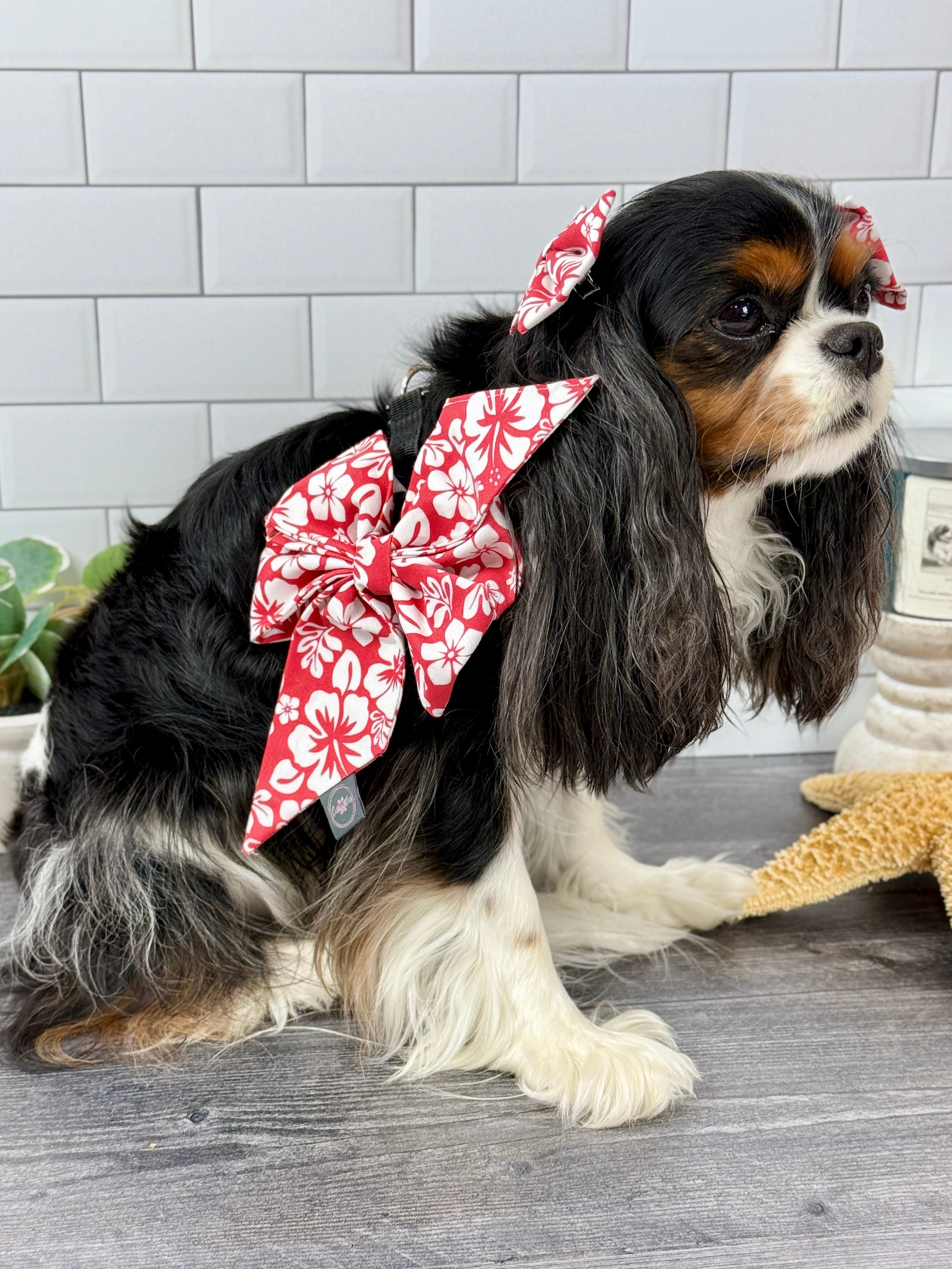 Strike a Pose Bow - Aloha