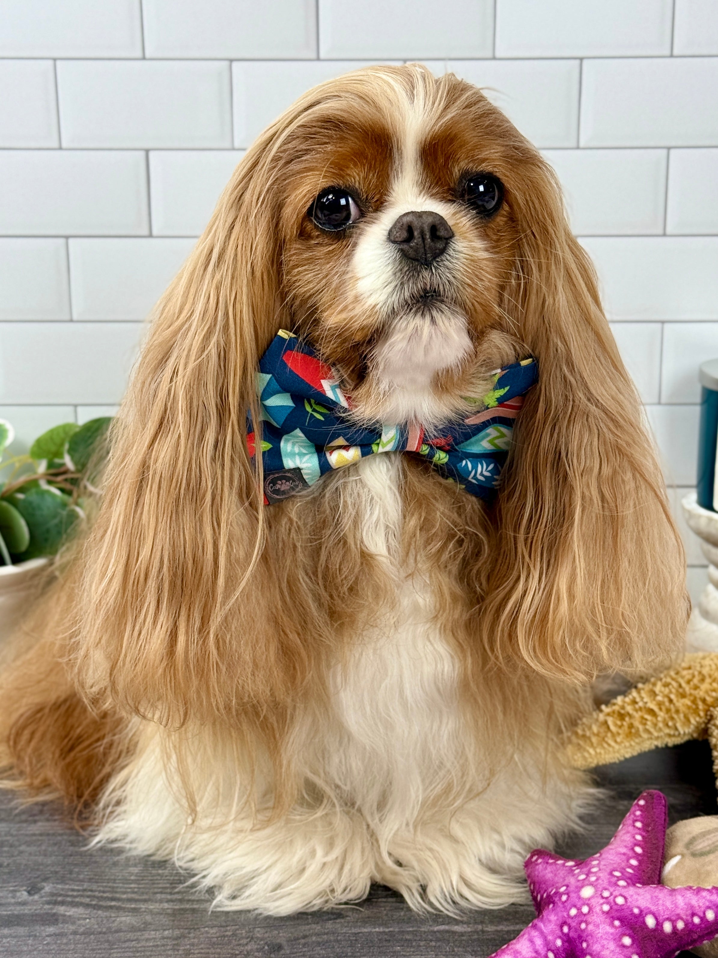 Dress to Impress Bow Tie - Surf Club Honolulu & Aloha
