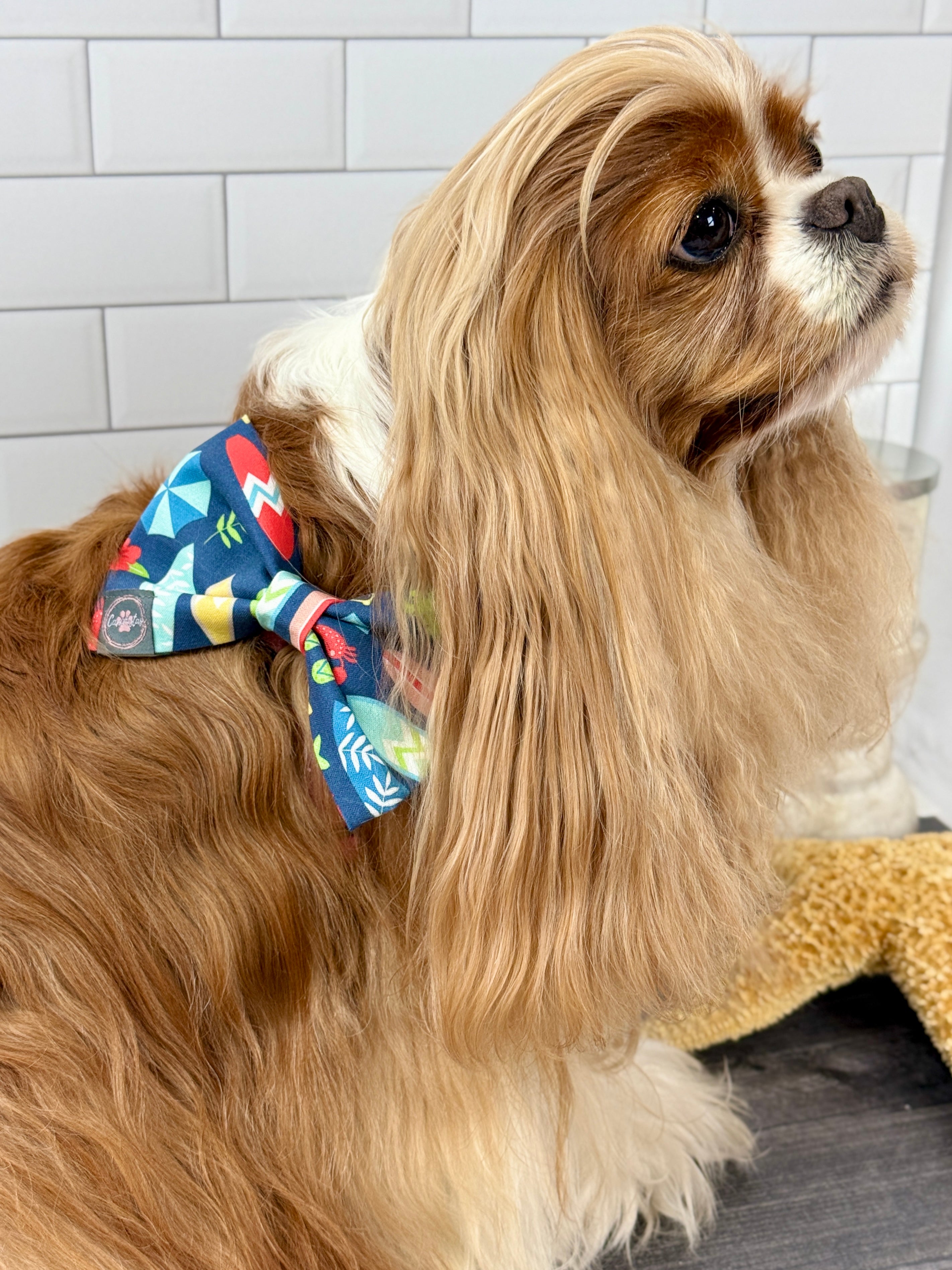 Dress to Impress Bow Tie - Surf Club Honolulu & Aloha