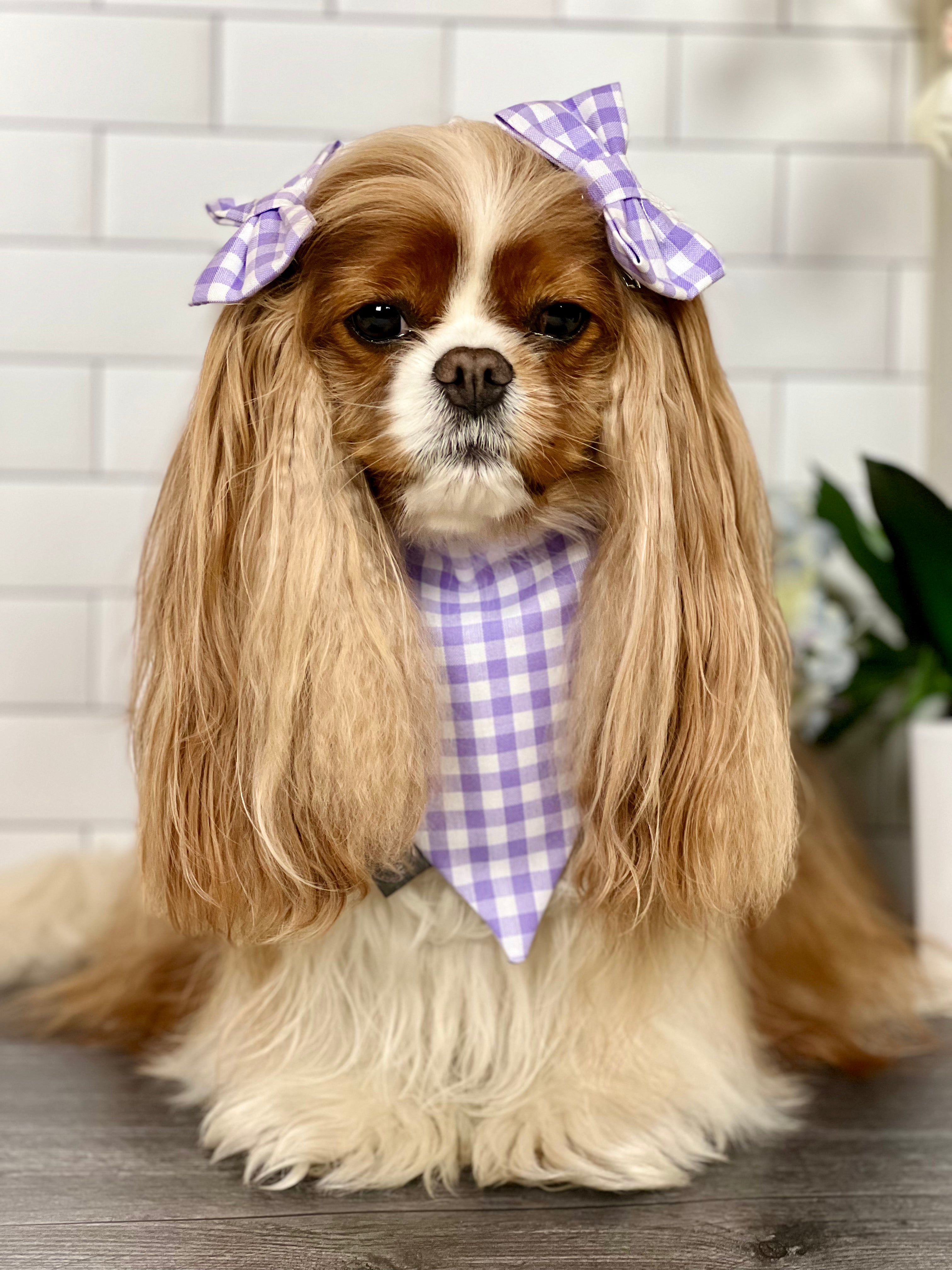 Intermission Wardrobe Change Reversible Bandana - Jardin de Fleurs & Lavender Gingham