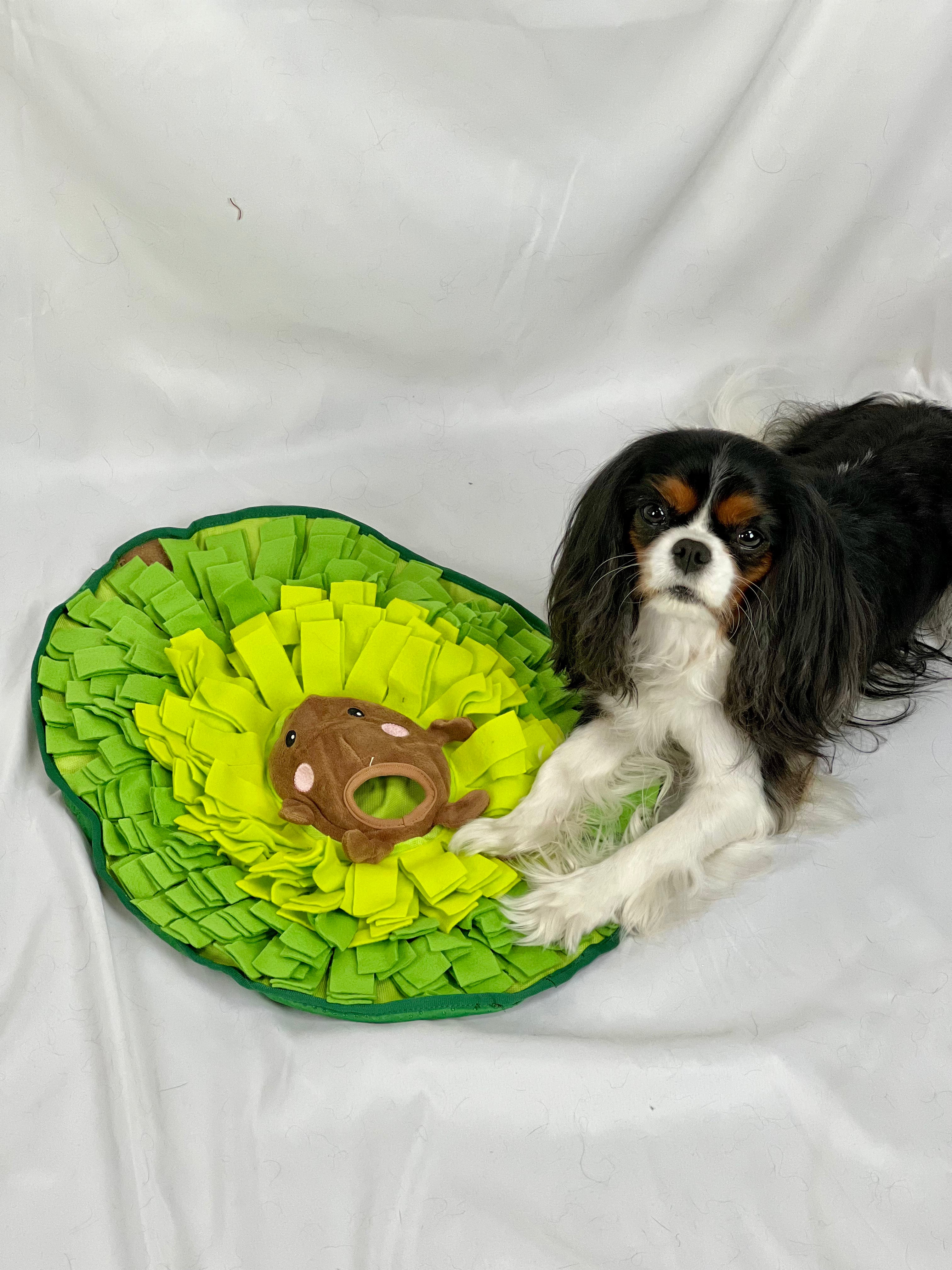 Avocado Snuffle Mat