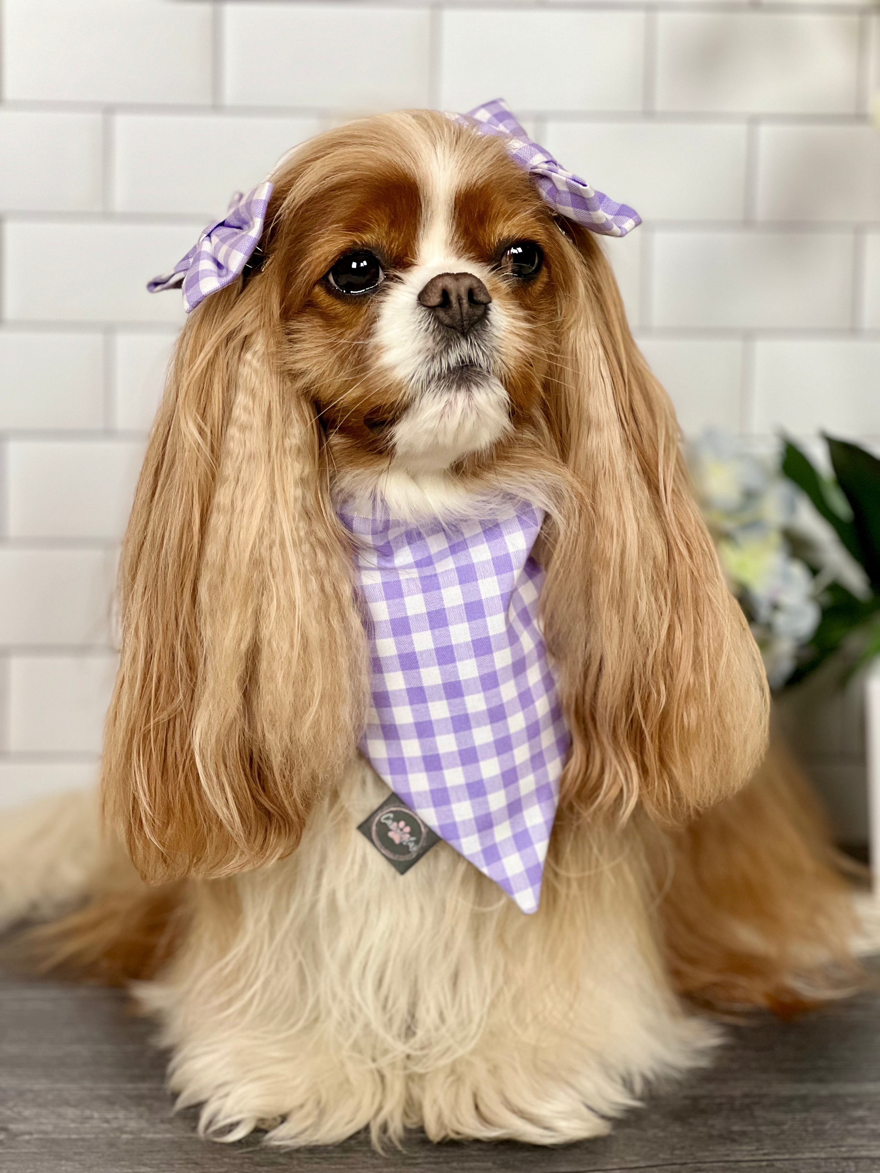 Intermission Wardrobe Change Reversible Bandana - Jardin de Fleurs & Lavender Gingham