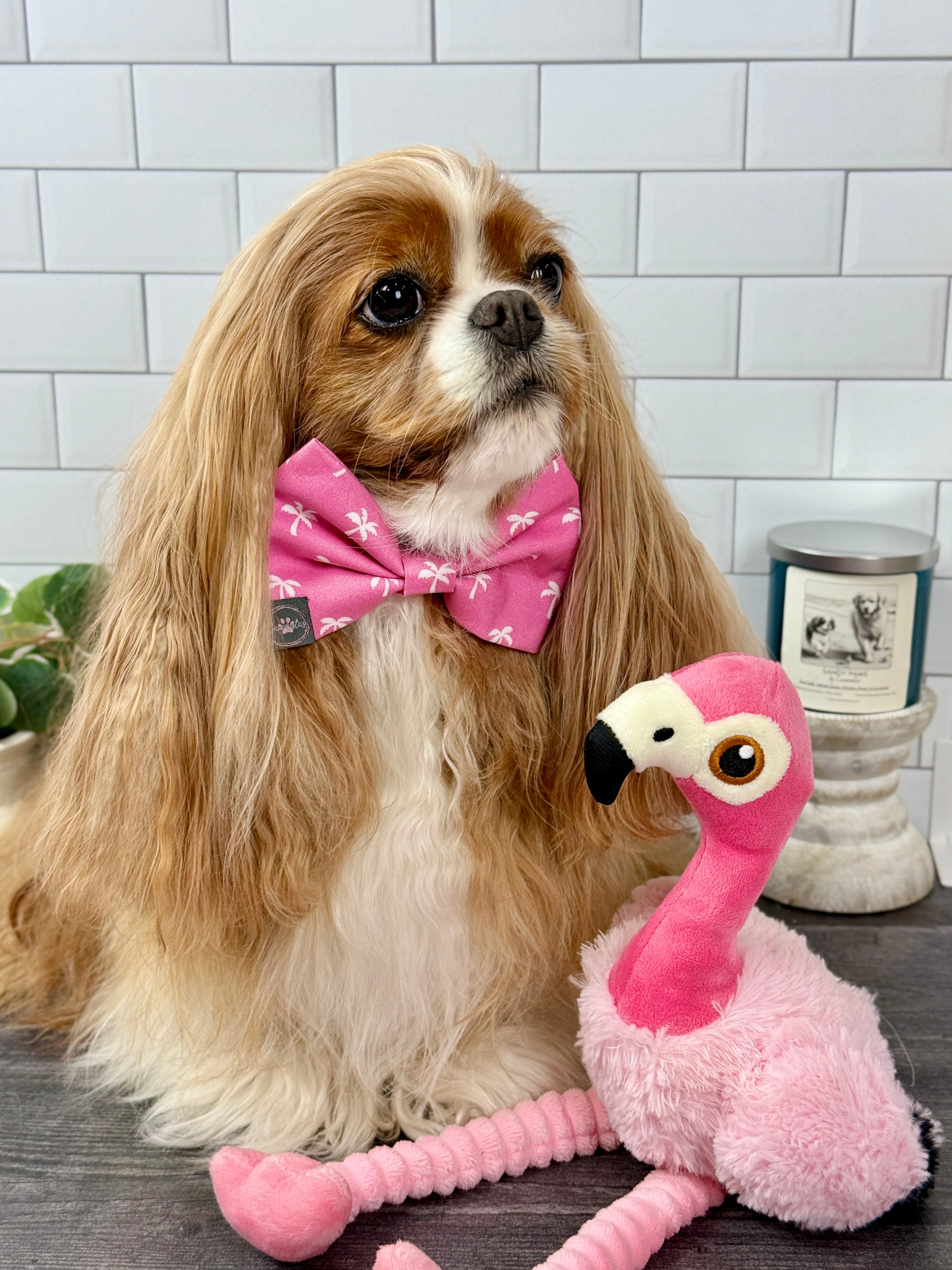 Dress to Impress Bow Tie - Flamingo Bay and Isle of Palms