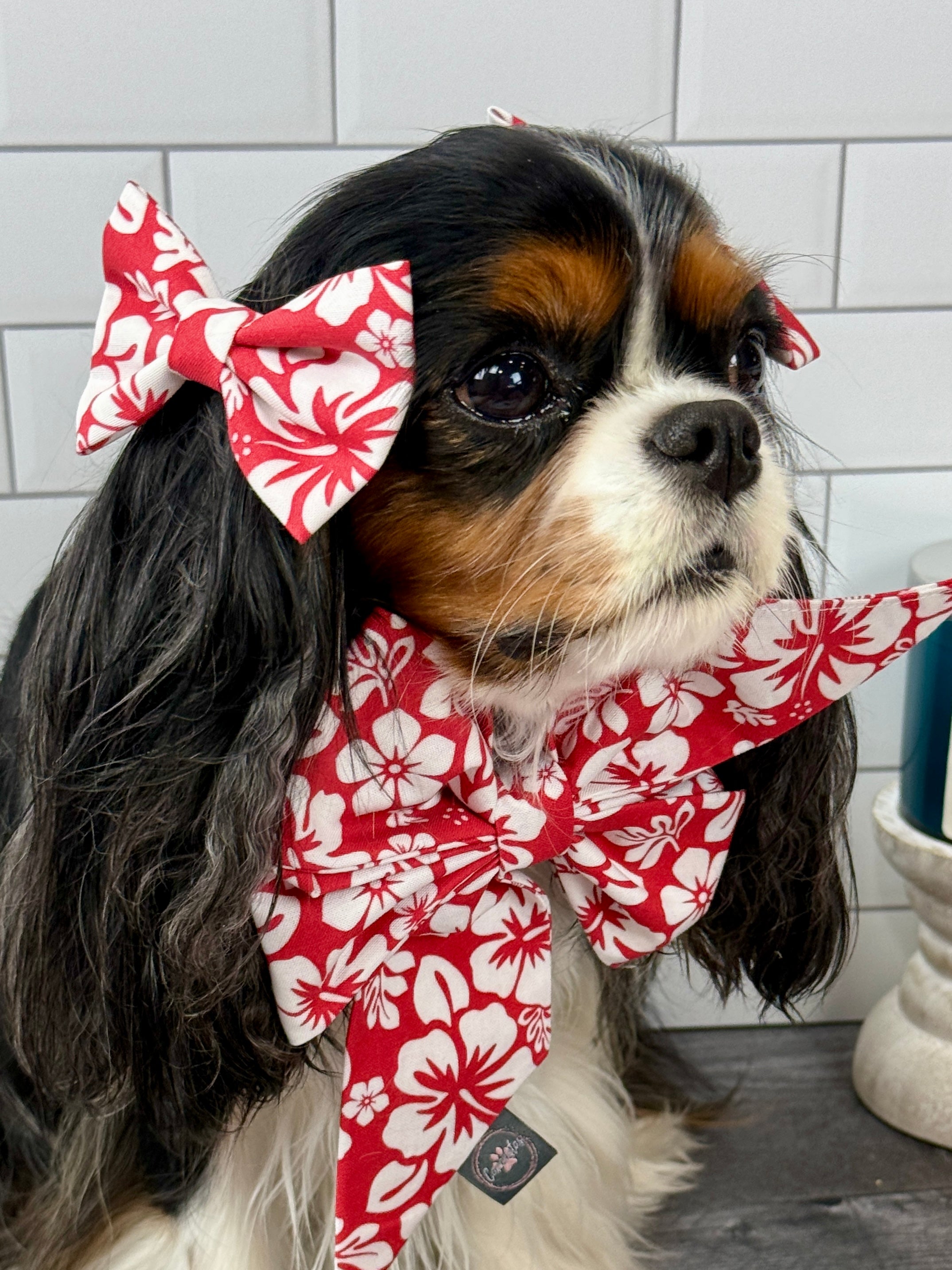 Accessories are a Must Hair Bows - Aloha