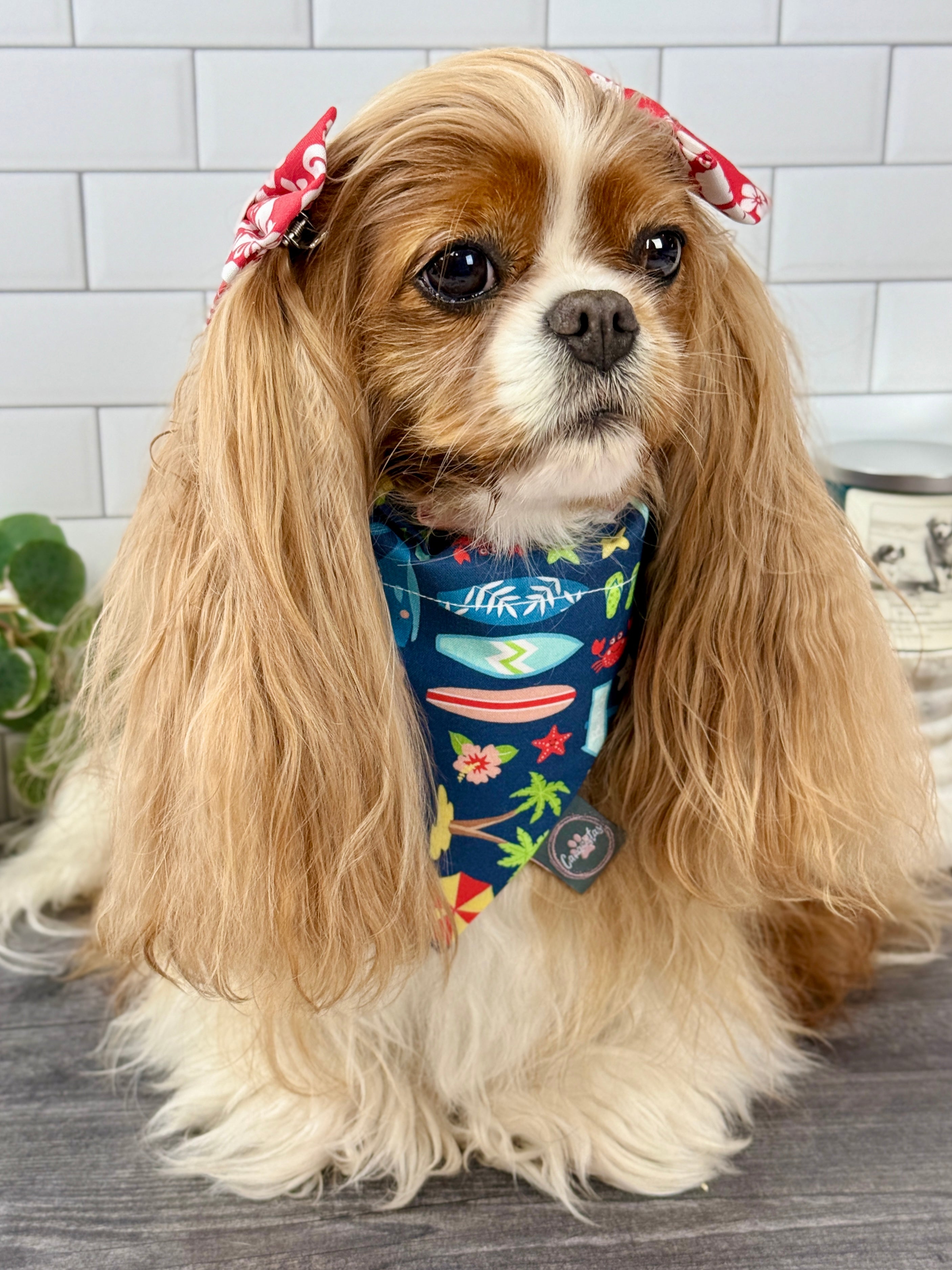 Intermission Wardrobe Change Reversible Bandana - Surf Club Honolulu & Aloha