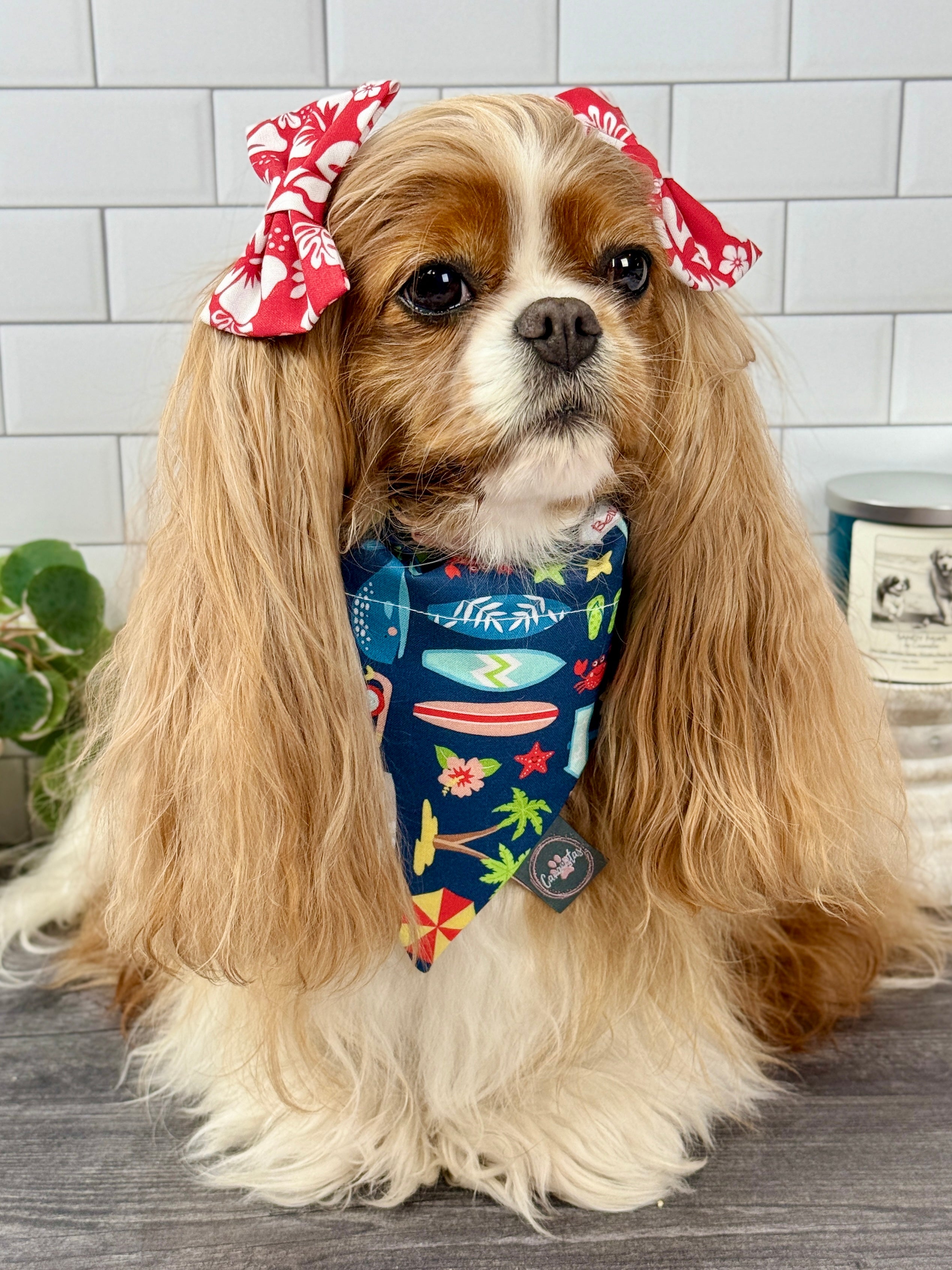 Intermission Wardrobe Change Reversible Bandana - Surf Club Honolulu & Aloha