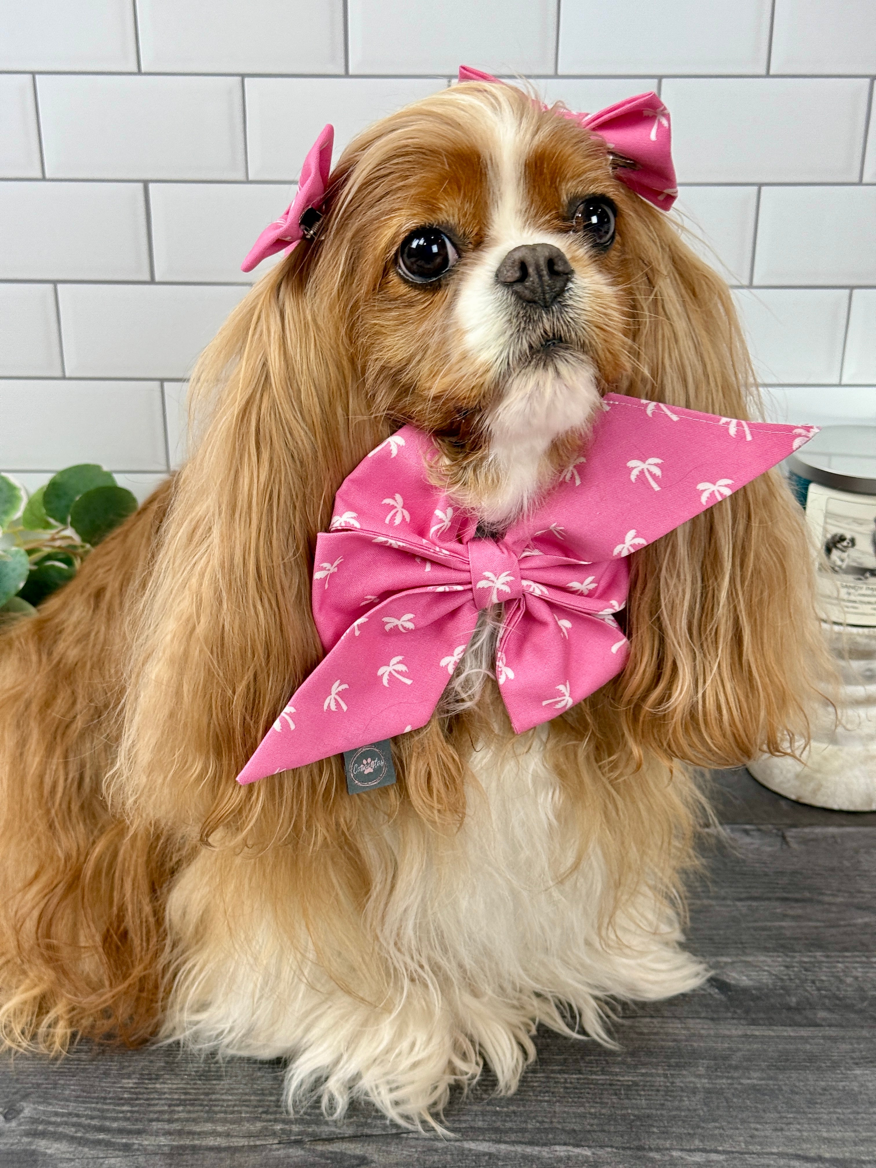 Accessories are a Must Hair Bows - Flamingo Bay & Isle of Palms