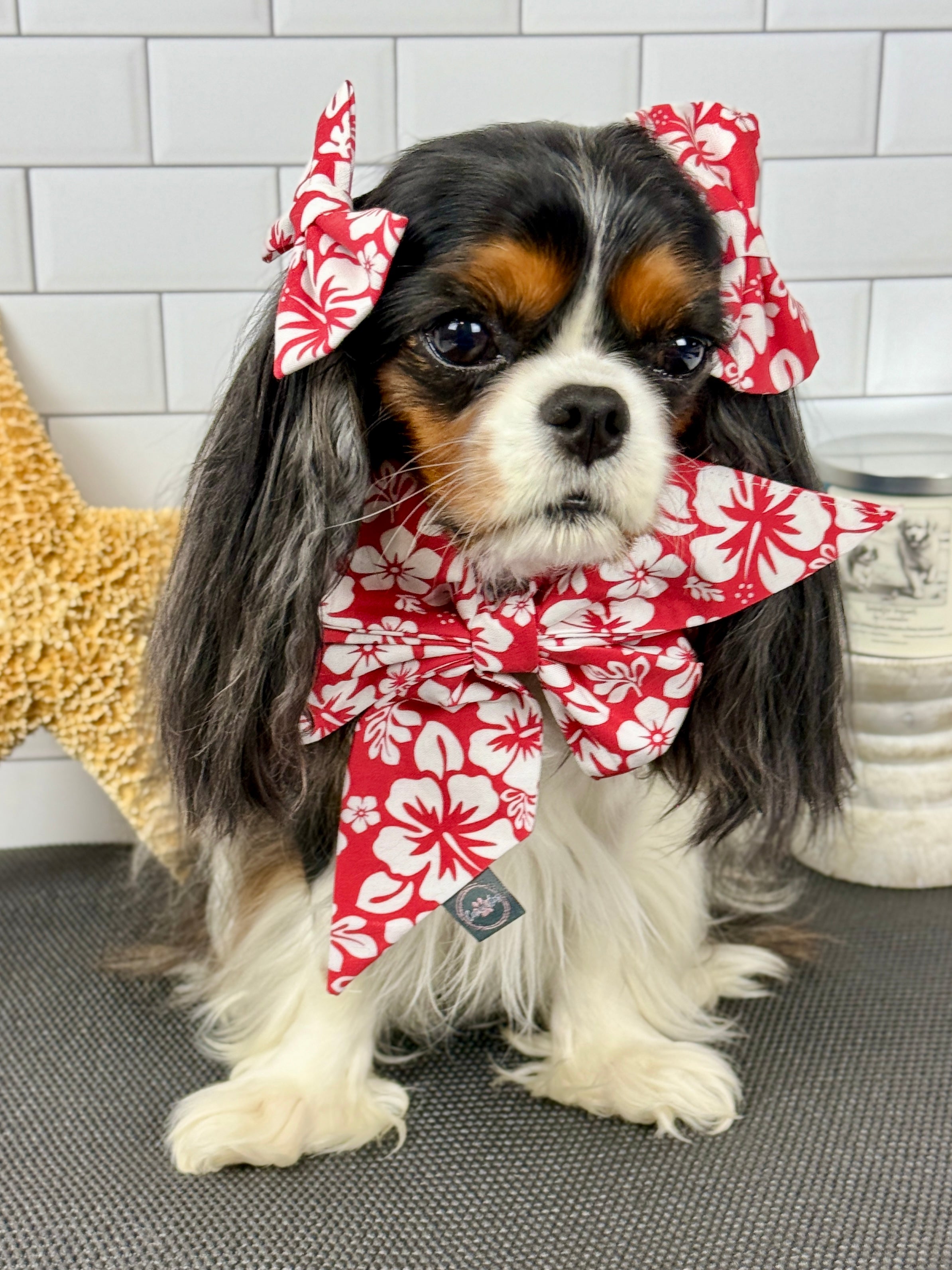 Strike a Pose Bow - Aloha