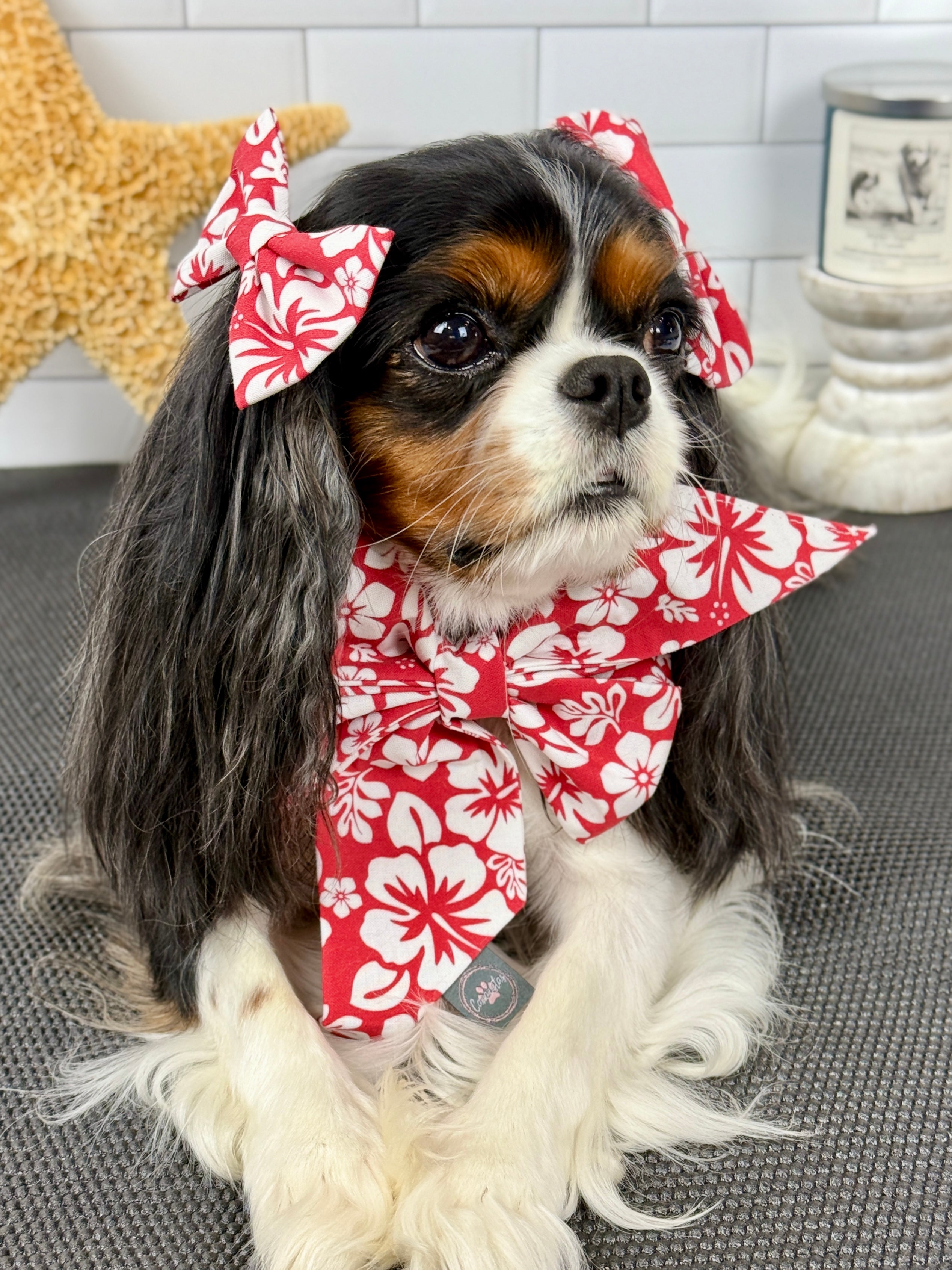 Accessories are a Must Hair Bows - Aloha